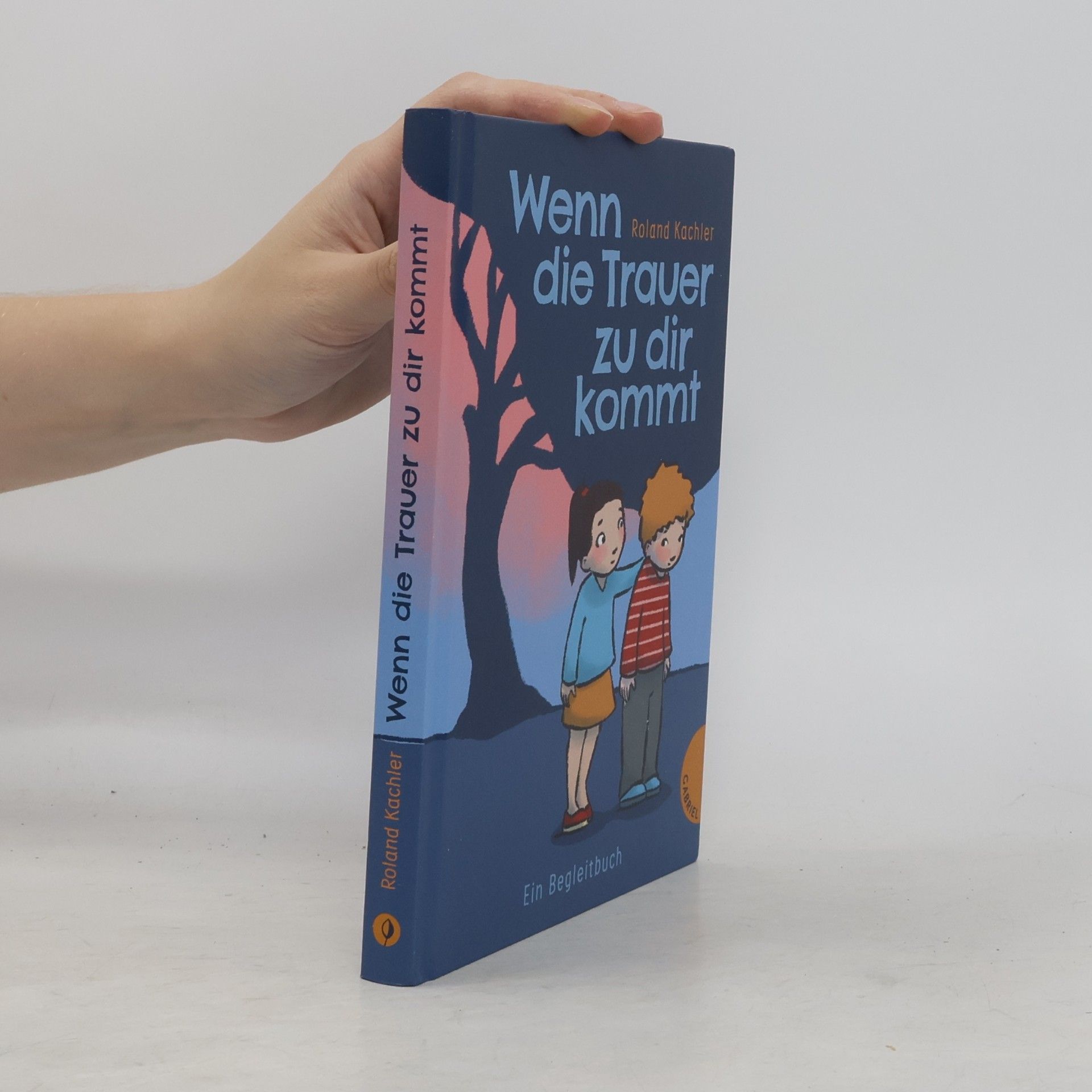 Wenn die Trauer zu dir kommt