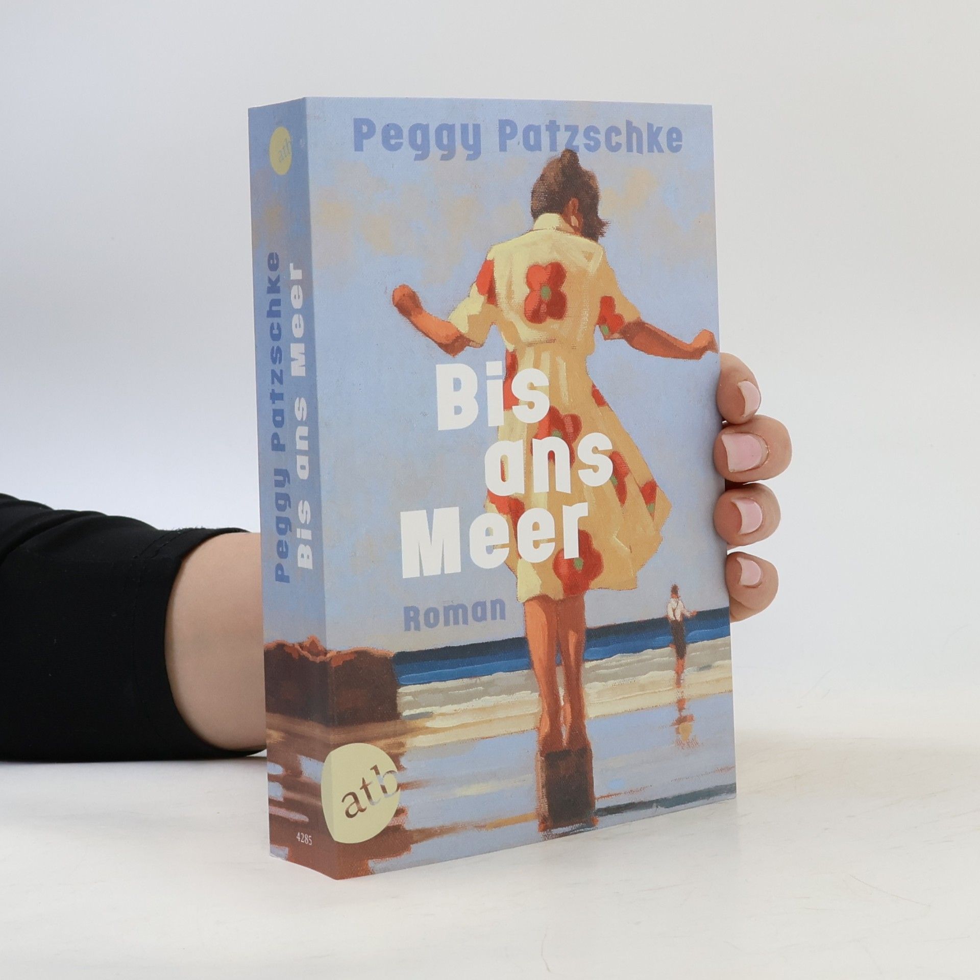 Peggy Patzschke Bis ans Meer: Roman