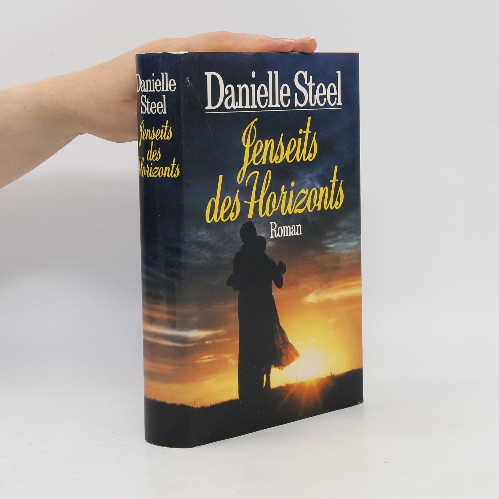 Danielle Steel Jenseits des Horizonts