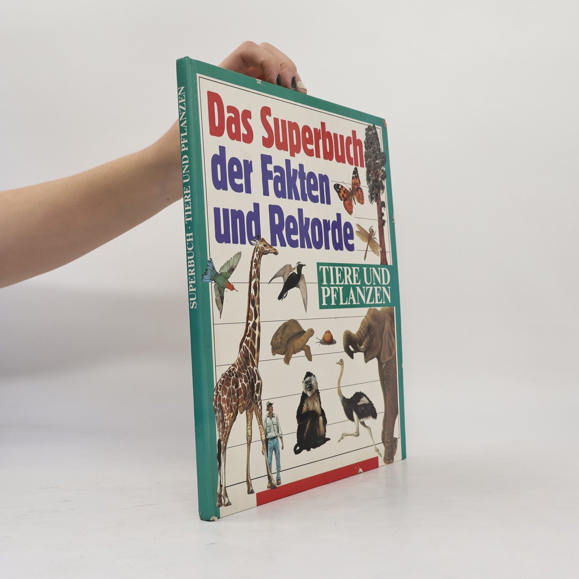 Mike Atkinson Das Superbuch der Fakten und Rekorde
