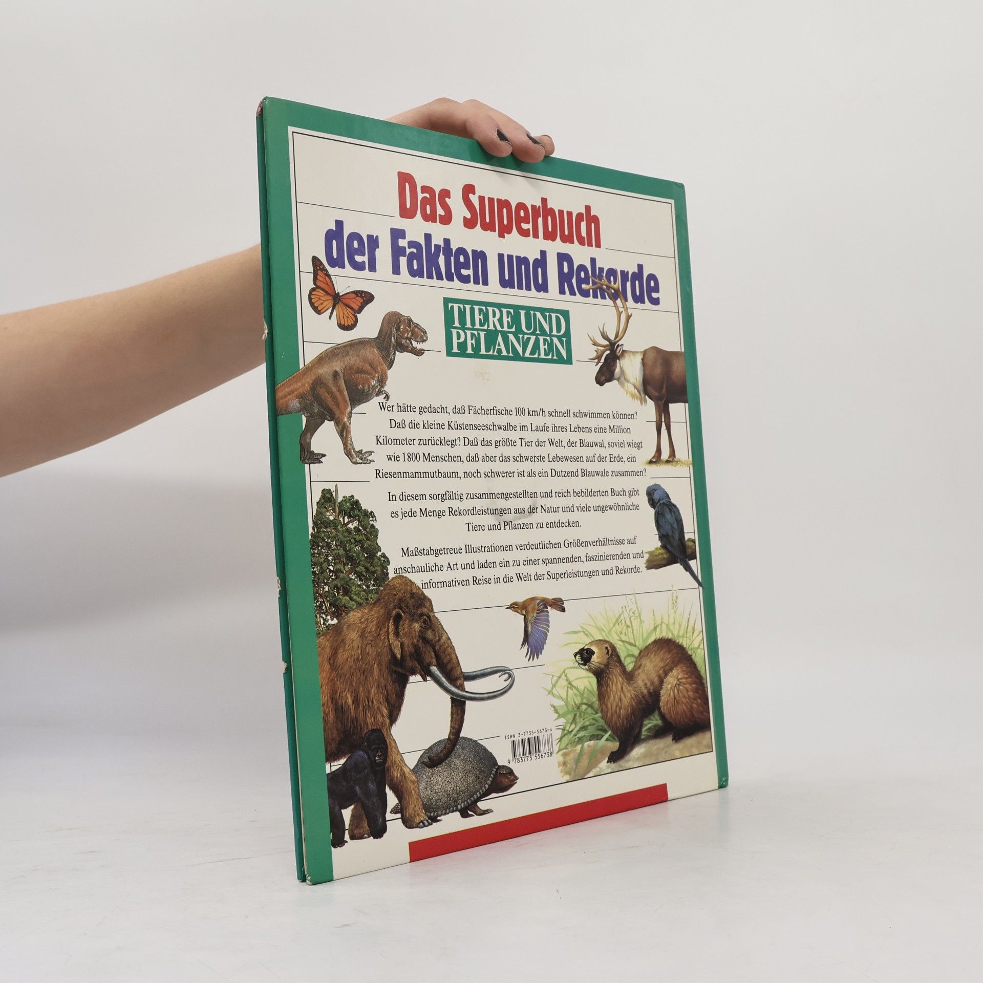 David Lambert Das Superbuch der Fakten und Rekorde