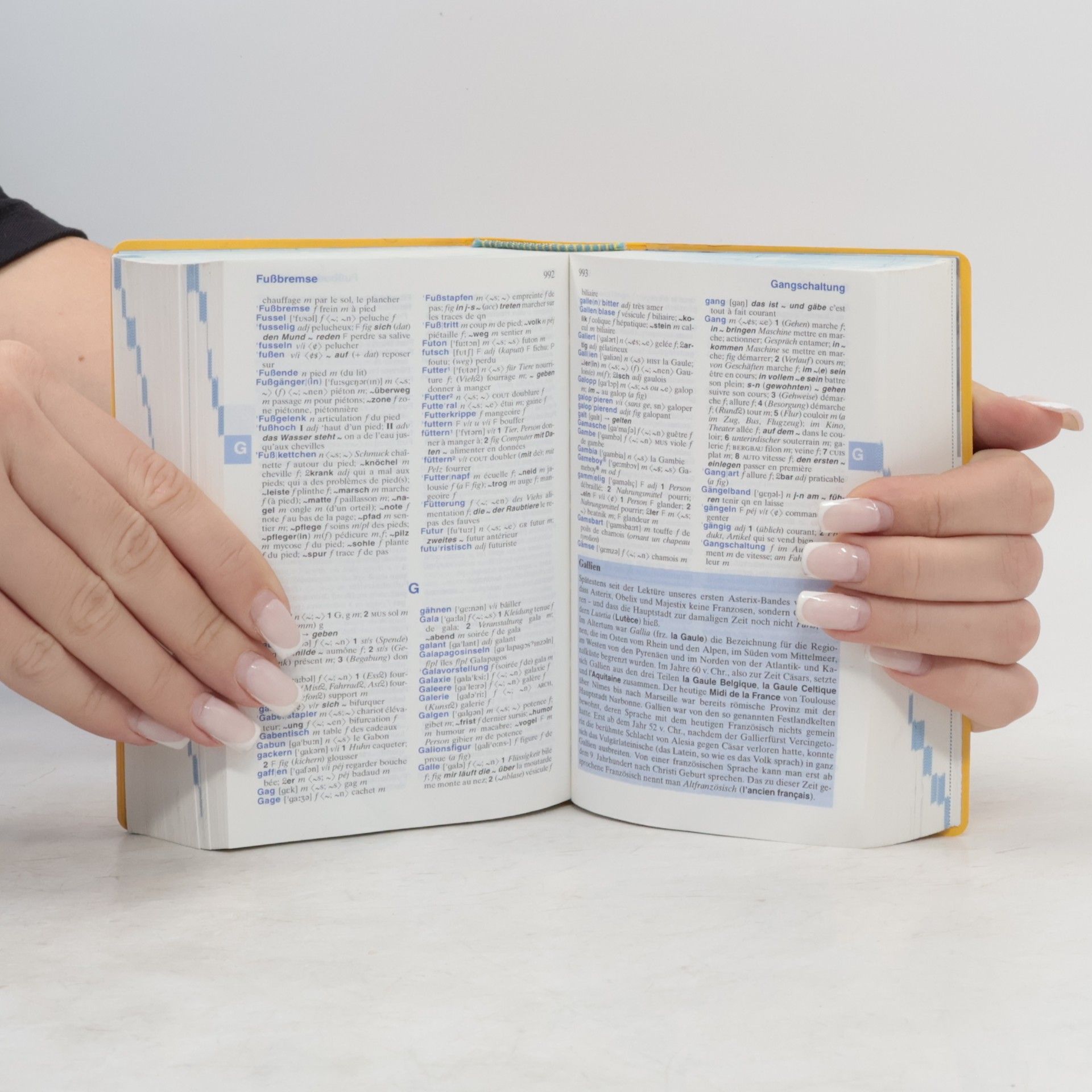 Manfred Bleher Langenscheidt Taschenwörterbuch Französisch