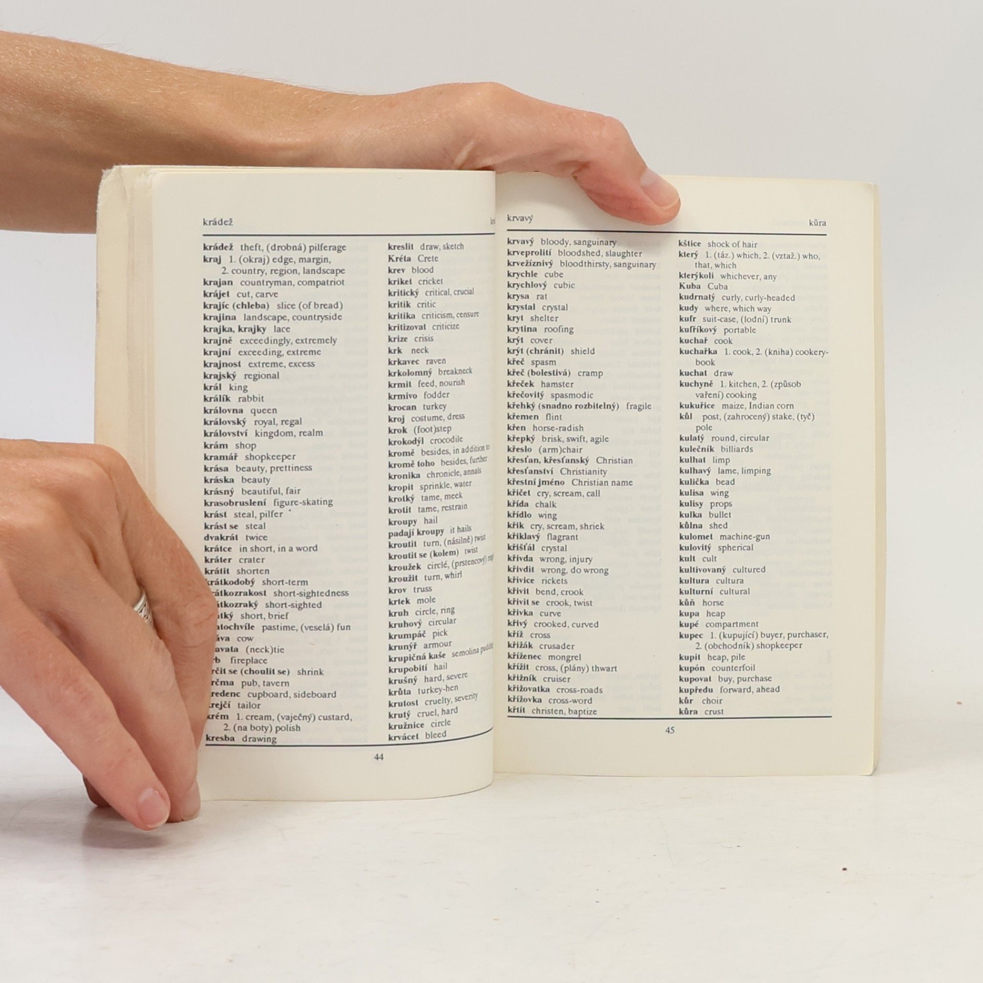 Auteurscollectief English Czech Dictionary. Czech English Dictionary