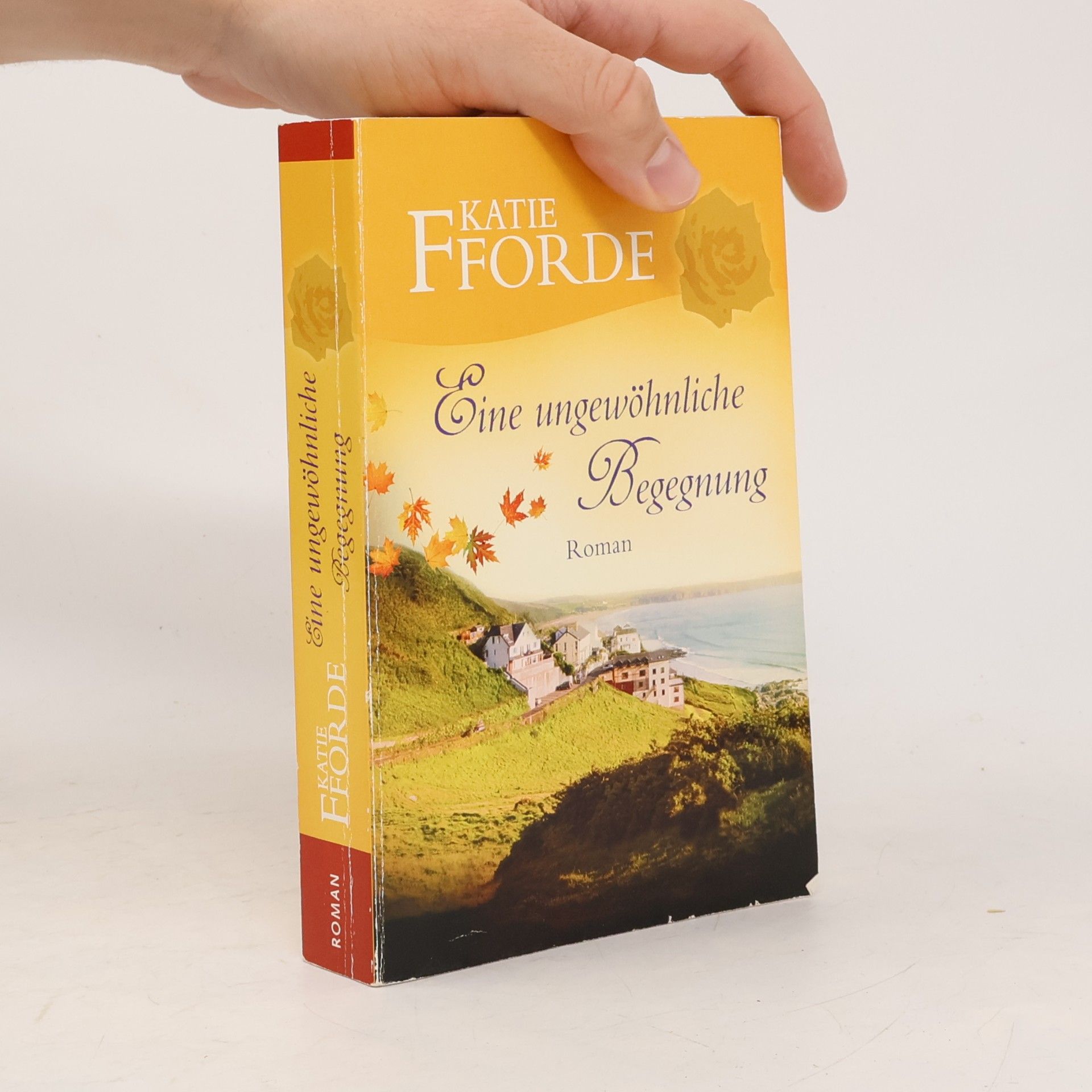 Katie Fforde Eine ungewöhnliche Begegnung