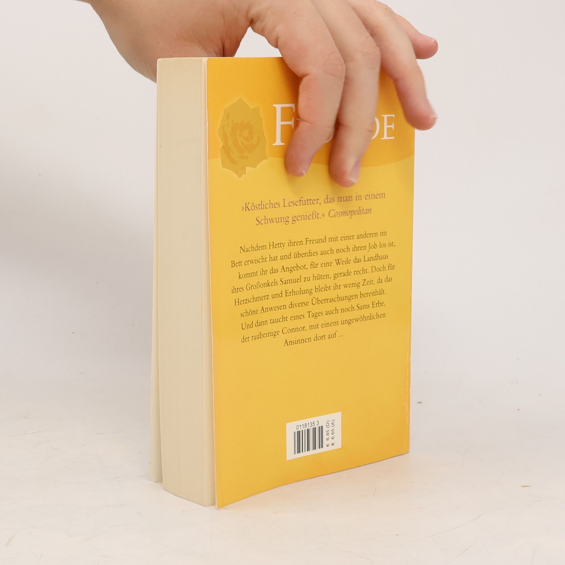 Katie Fforde Eine ungewöhnliche Begegnung