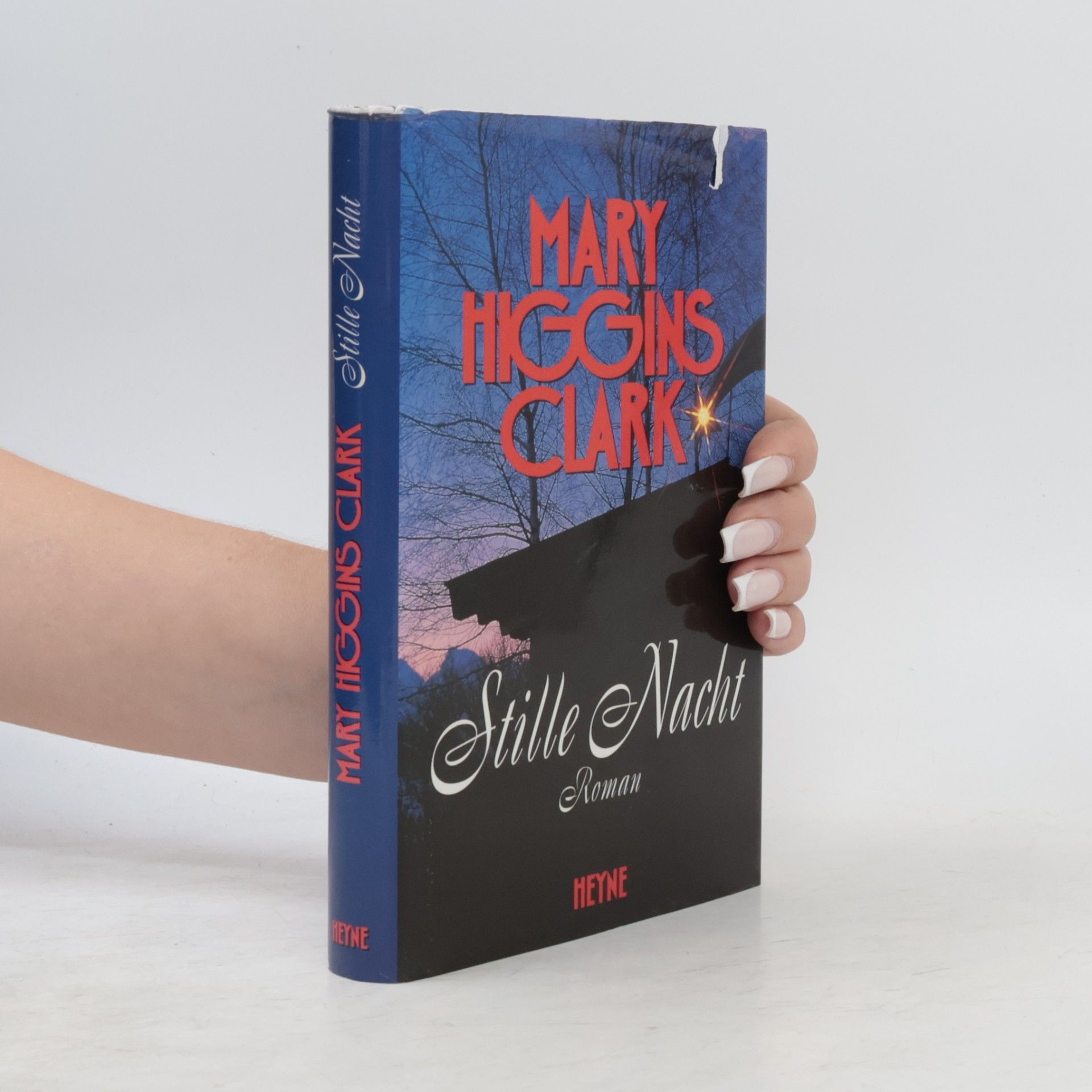 Mary Higgins Clark Stille Nacht