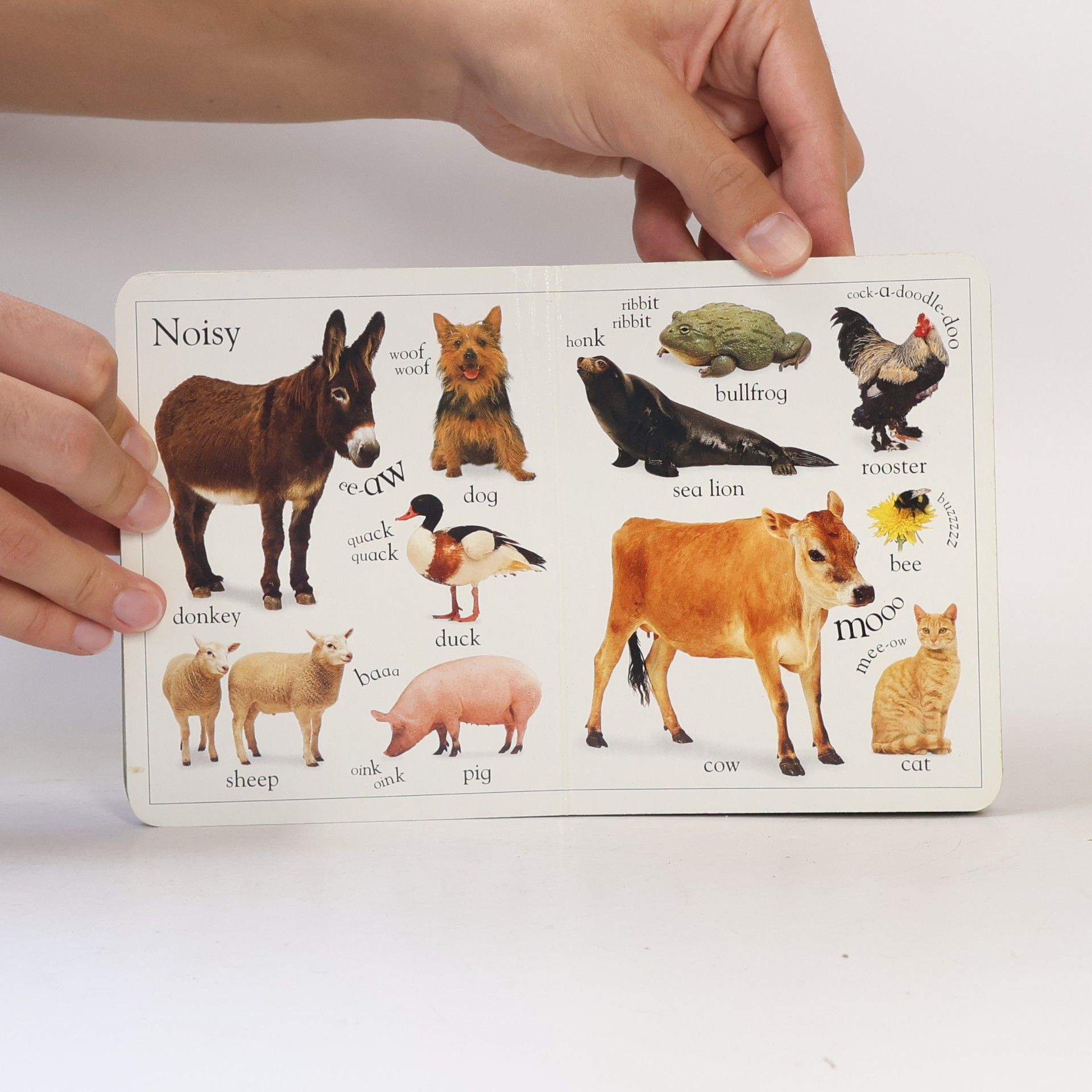 Kolektiv autorů My First Animal Book