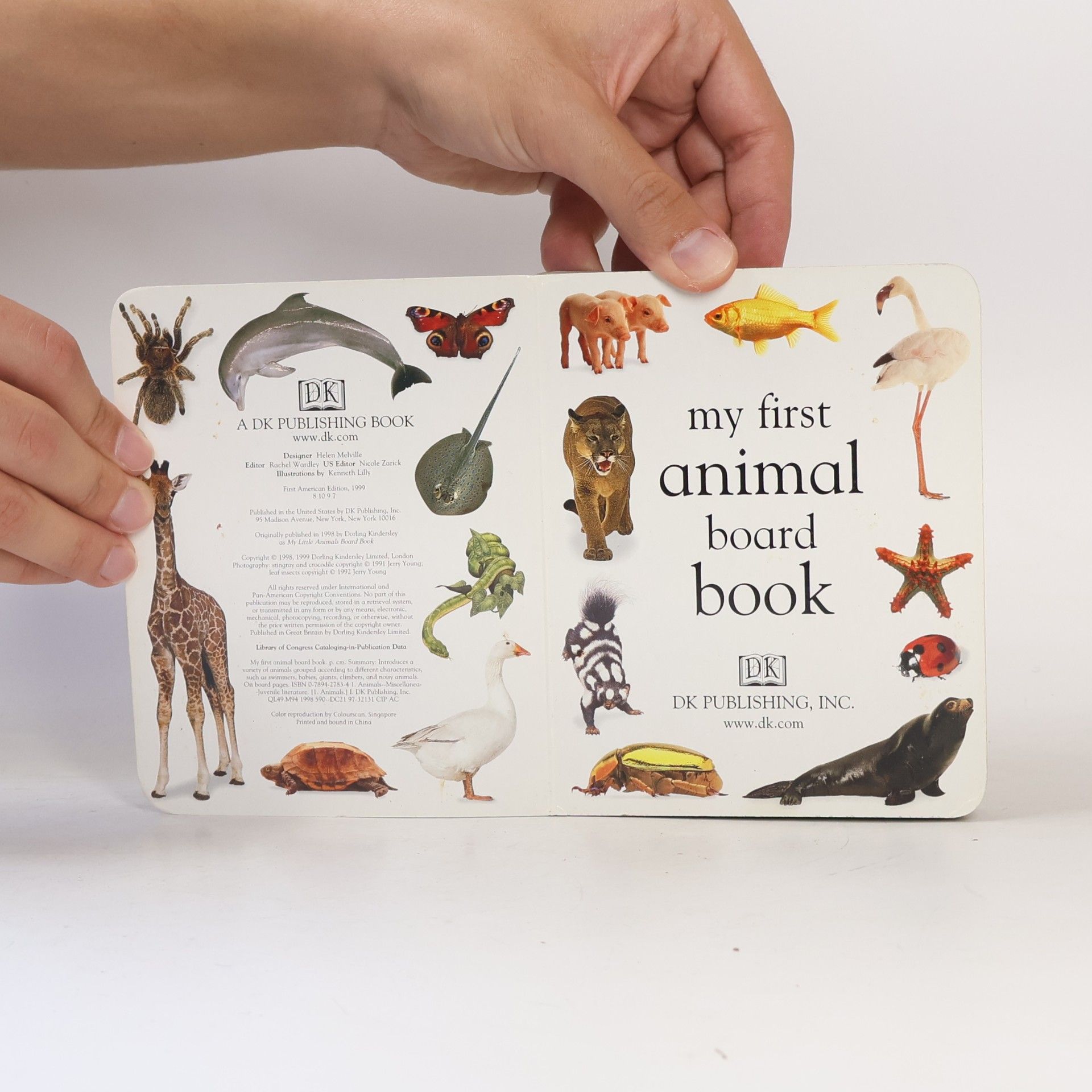 Kolektiv autorů My First Animal Book