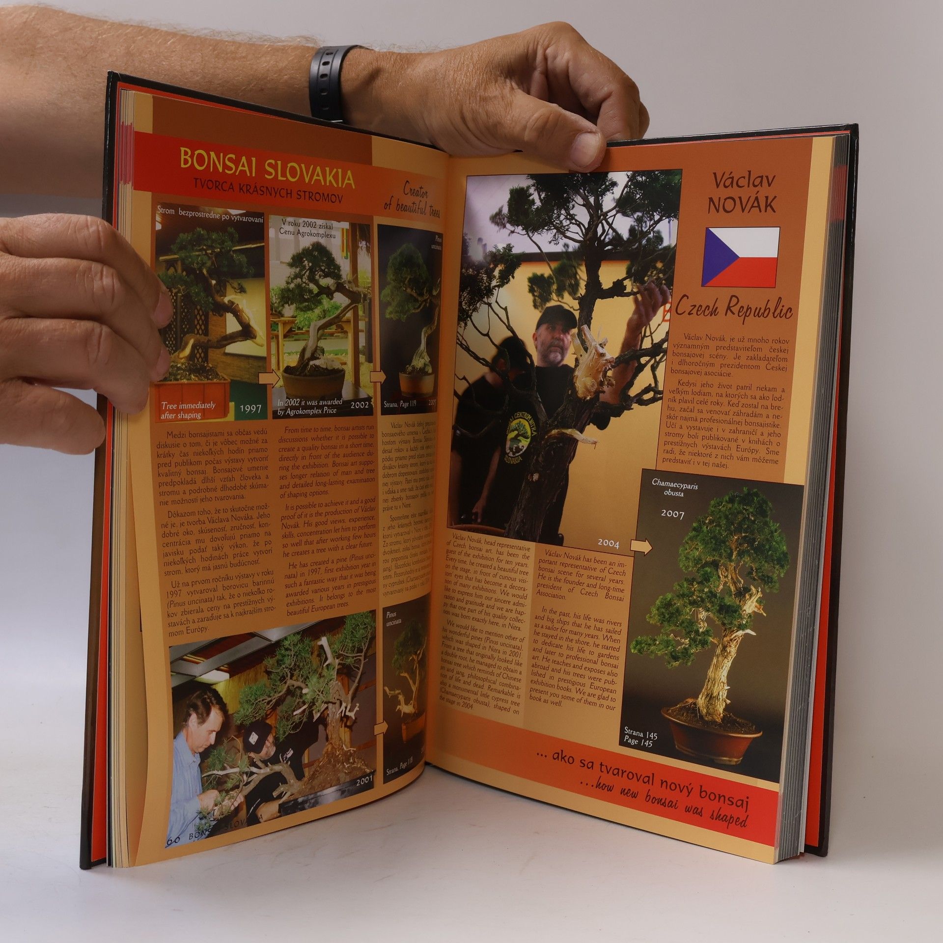 Alena Ondejčíková Bonsai Slovakia