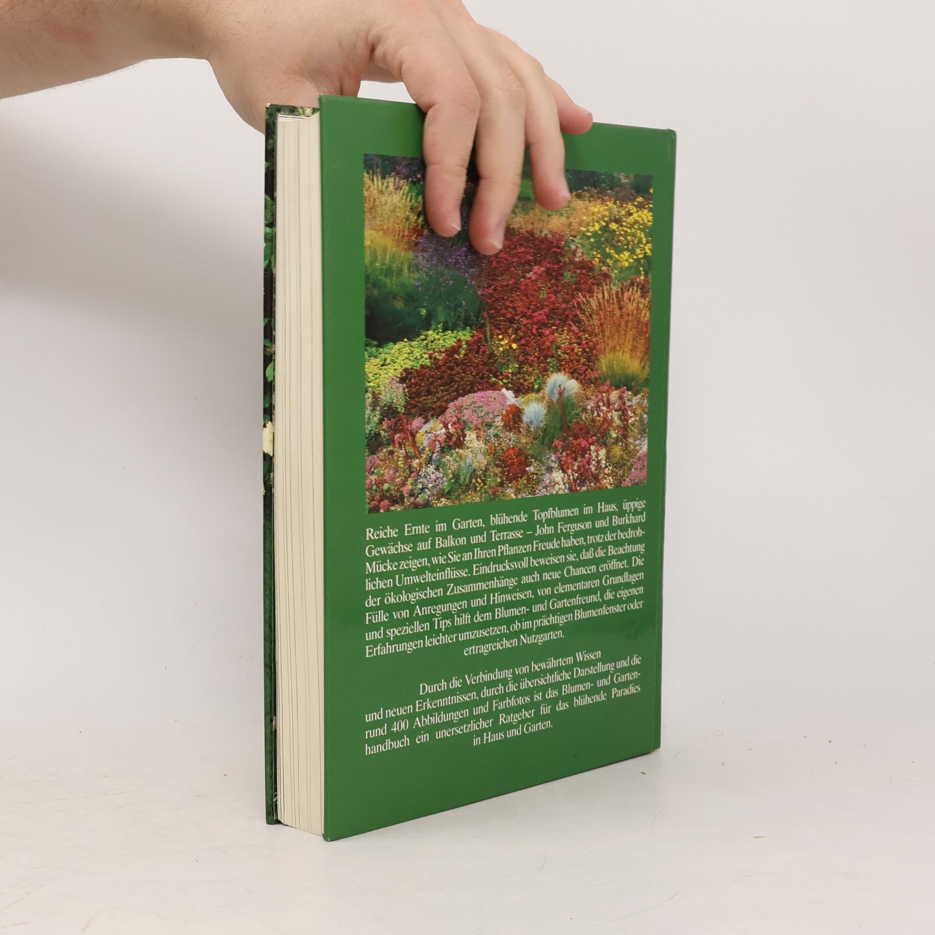John Ferguson Blumen und Garten