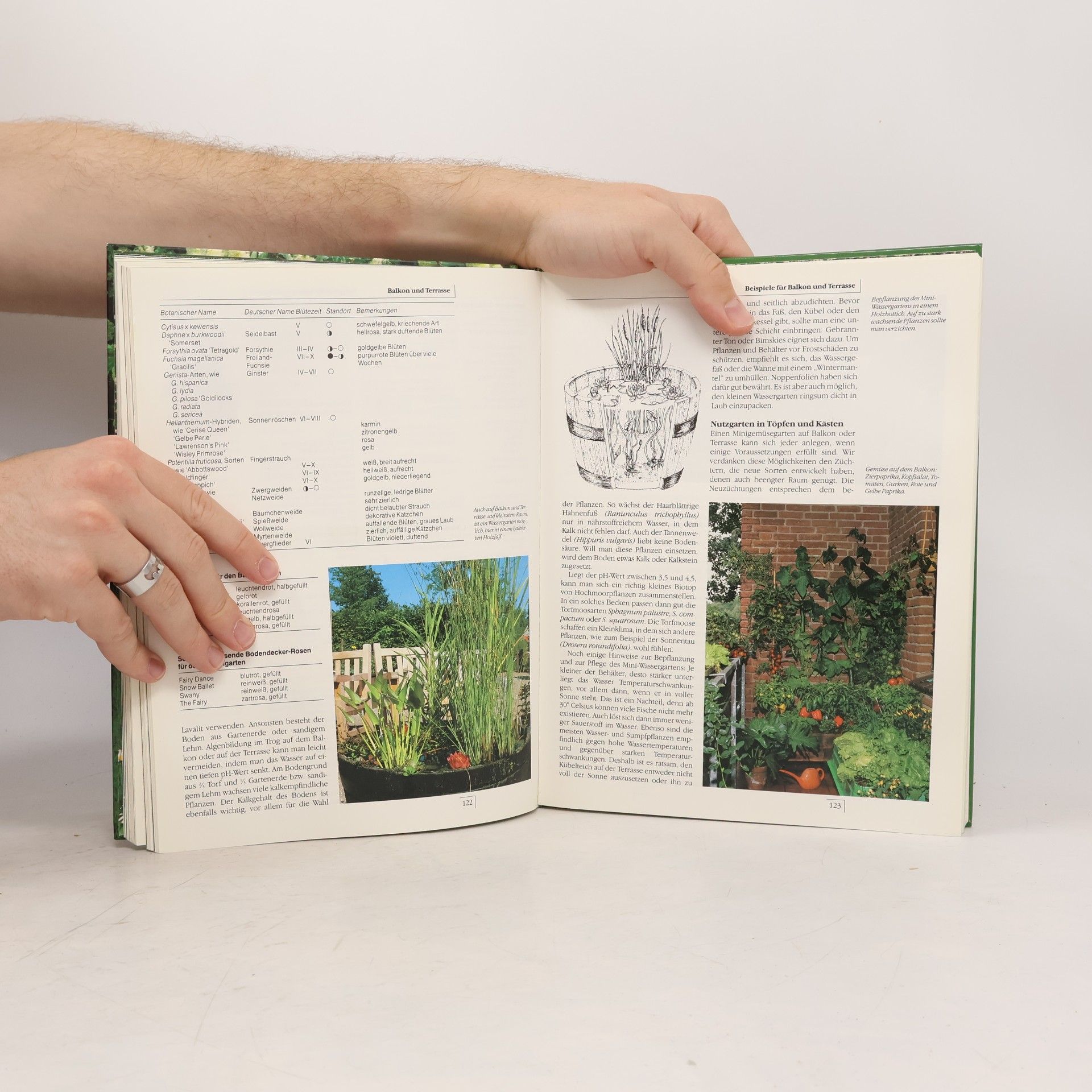 John Ferguson Blumen und Garten