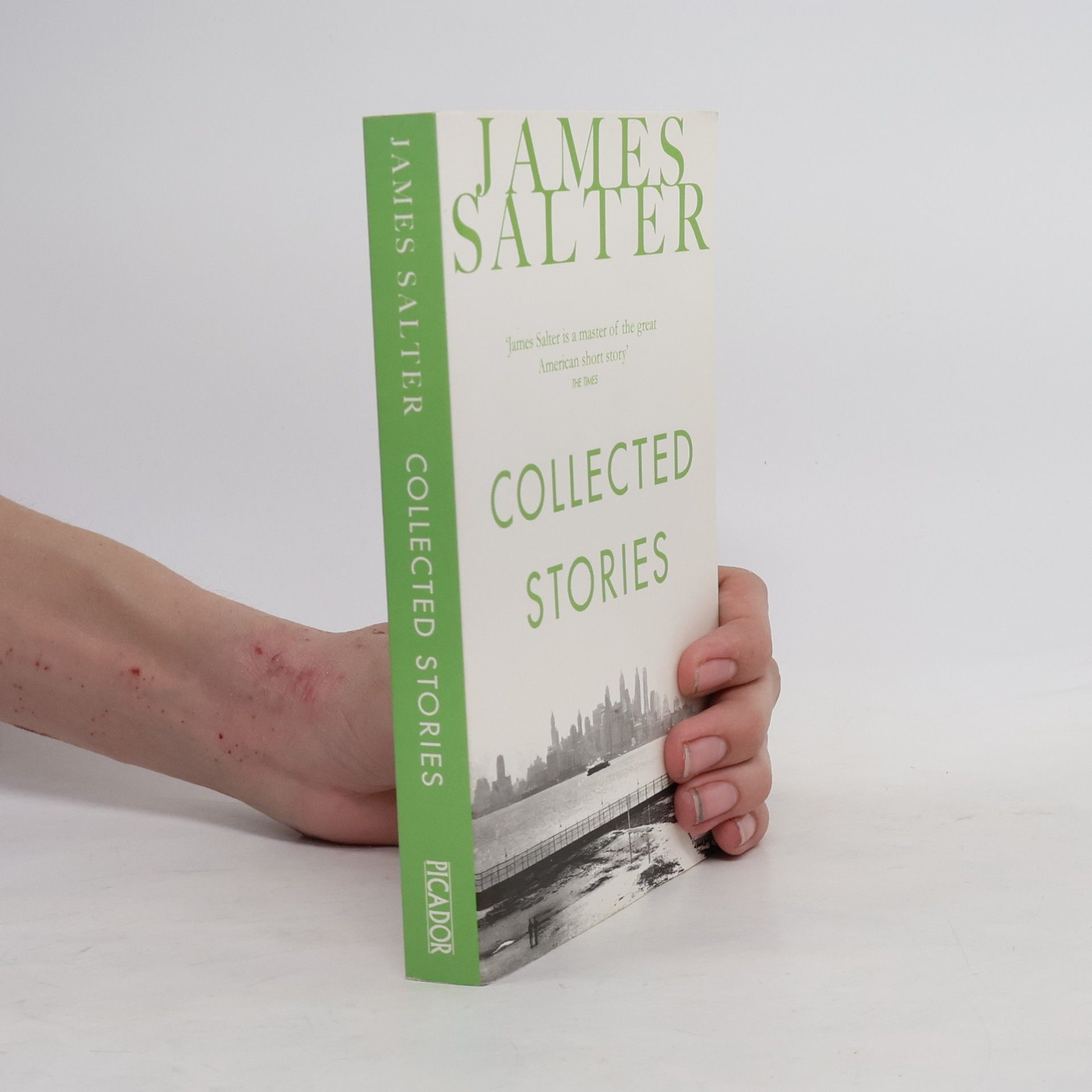 James Salter Collected Stories