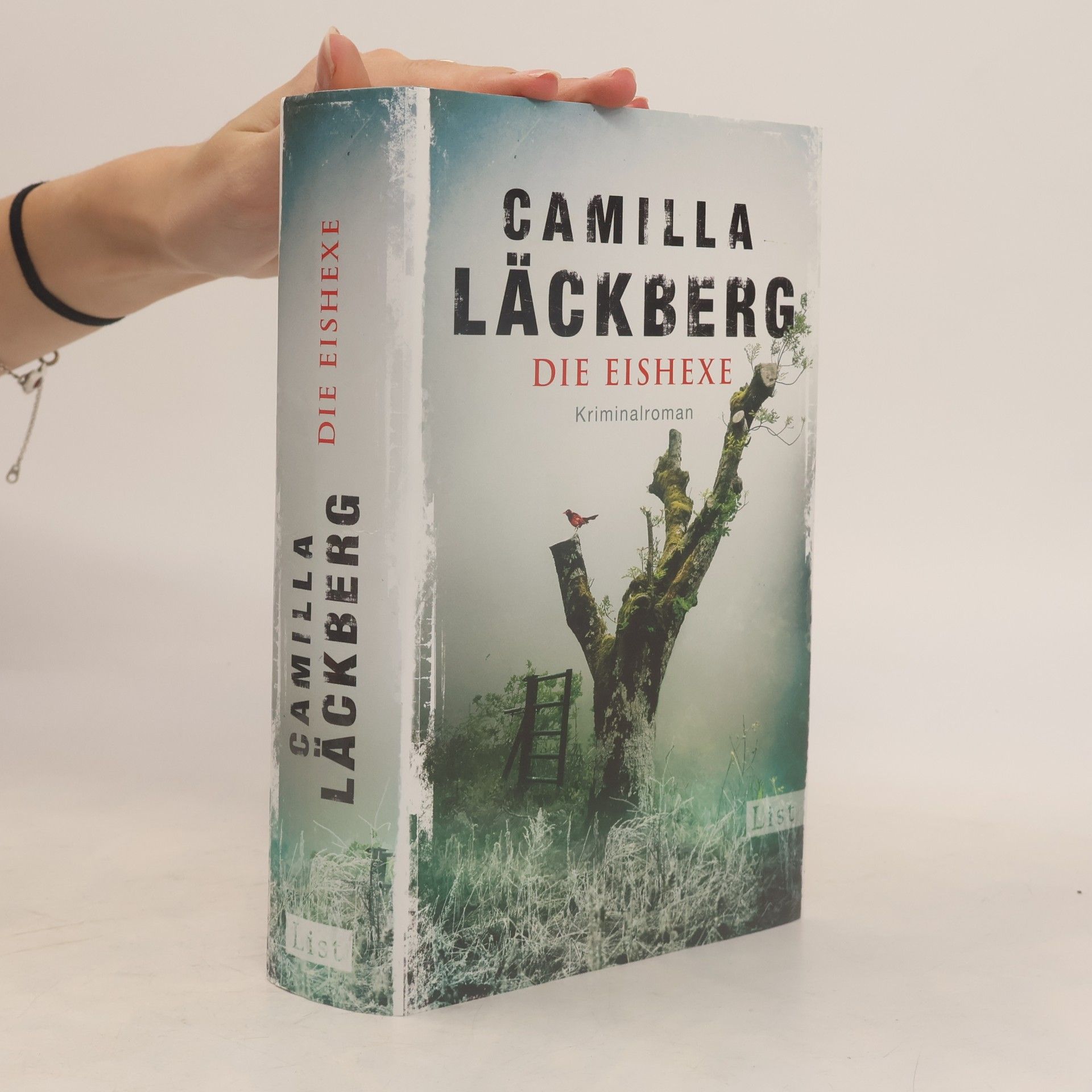 Camilla Läckberg Die Eishexe