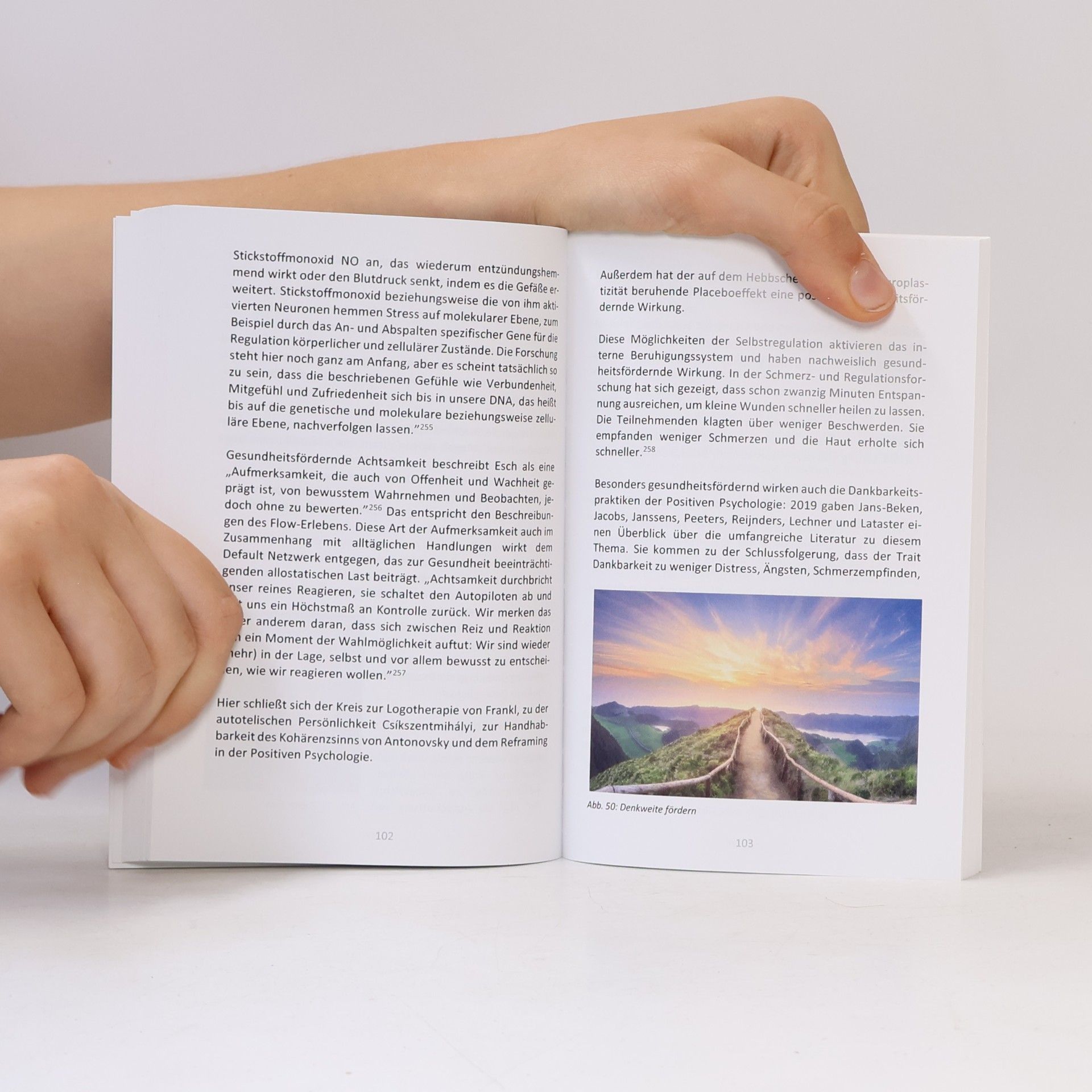 Monika Herbstrith-Lappe Aufblühen statt Ausglühen (Taschenbuch)