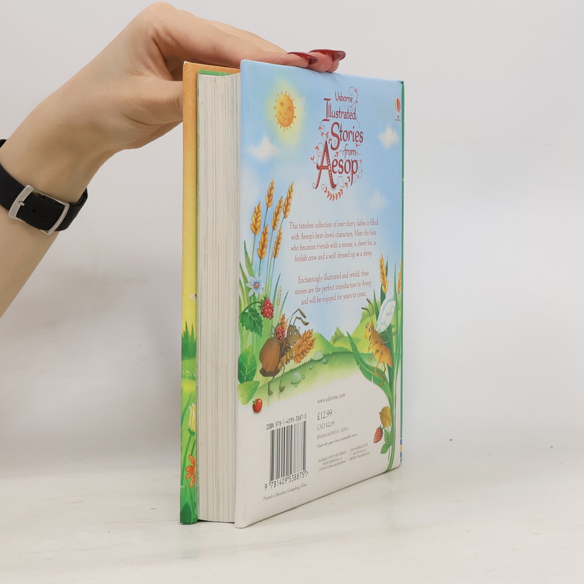 Susanna Davidson Usborne Illustrated Stories from Aesop