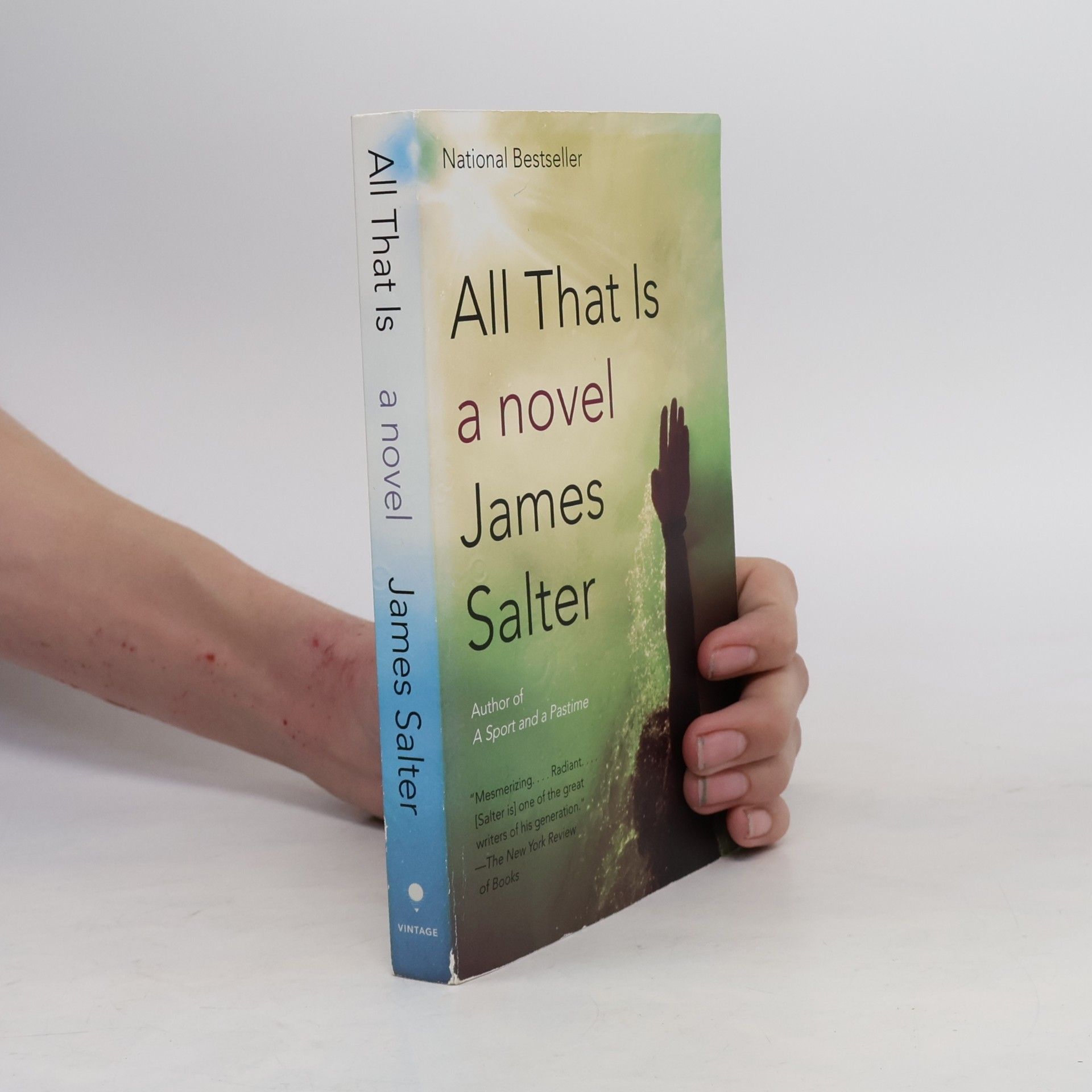 James Salter All That Is