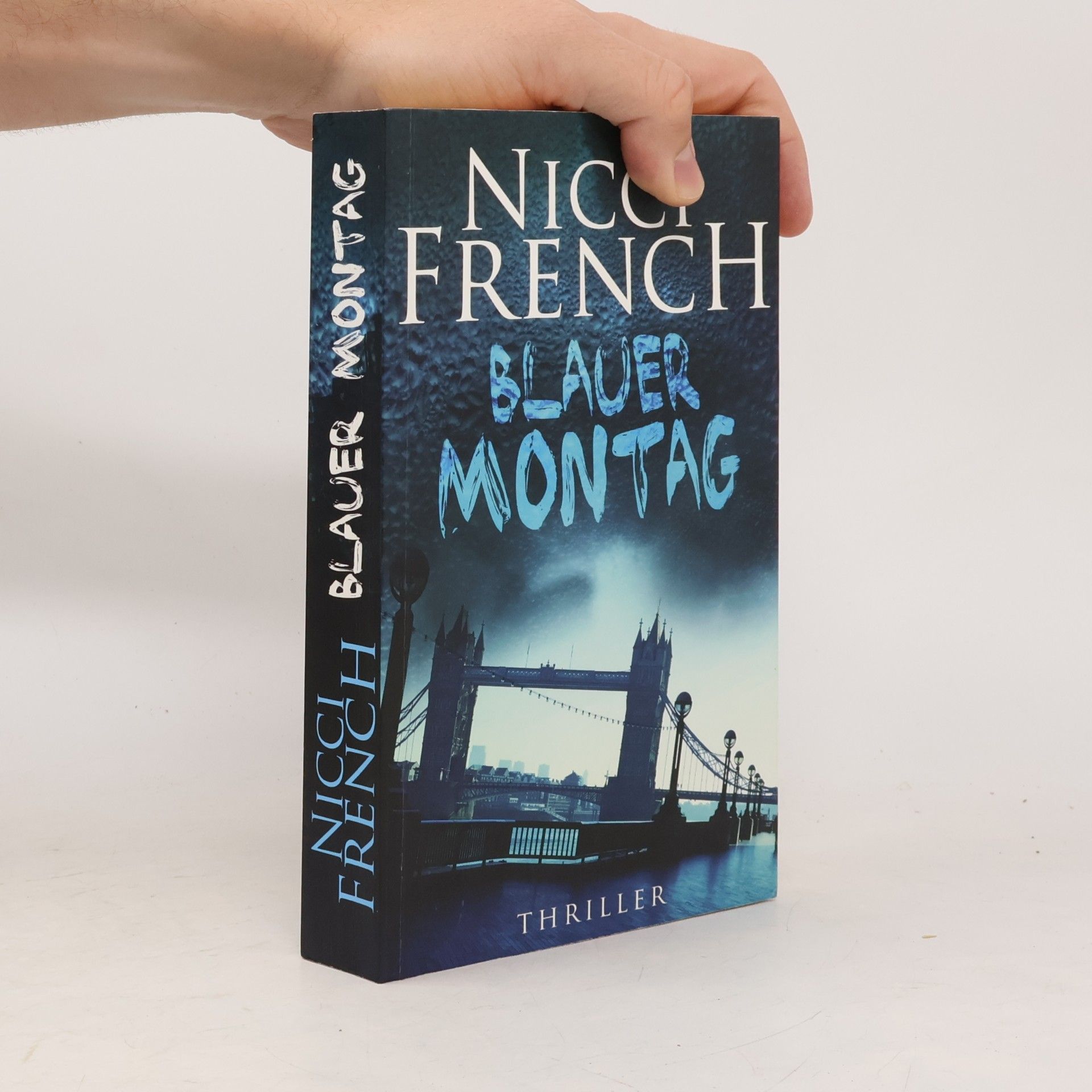 Nicci French Blauer Montage