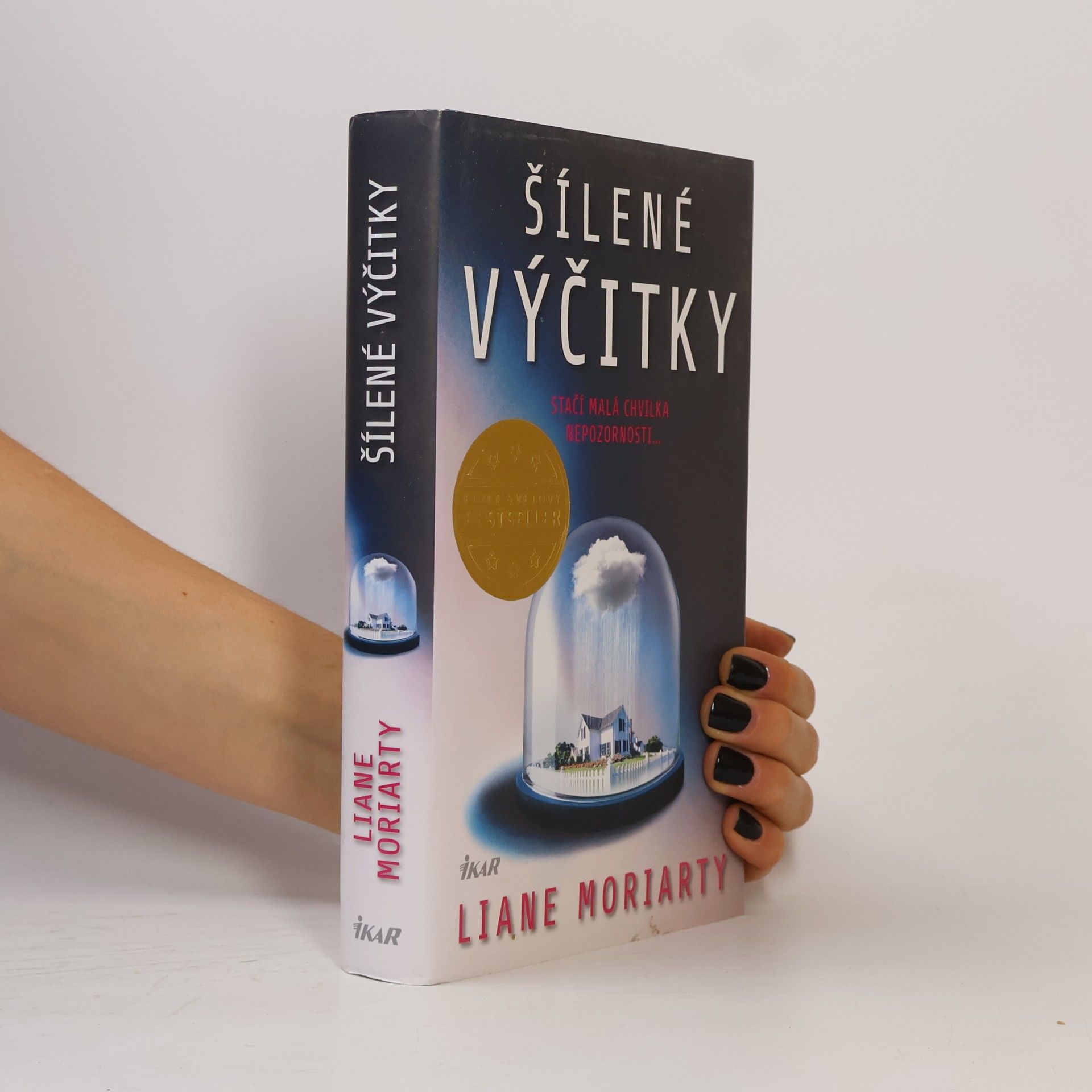 Liane Moriarty Šílené výčitky