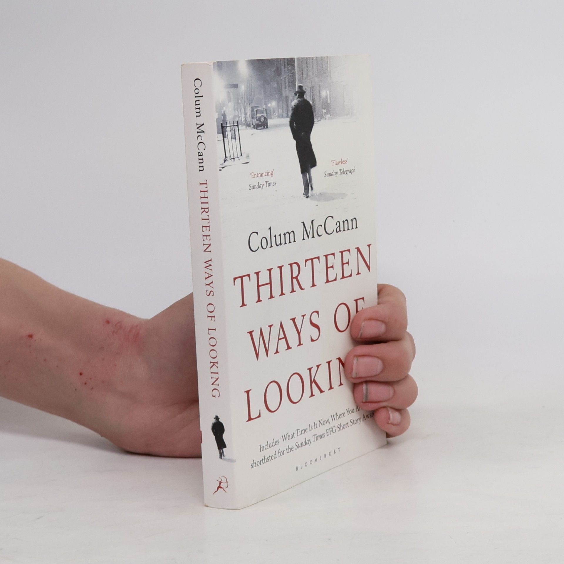 Colum McCann Thirteen Ways of Looking