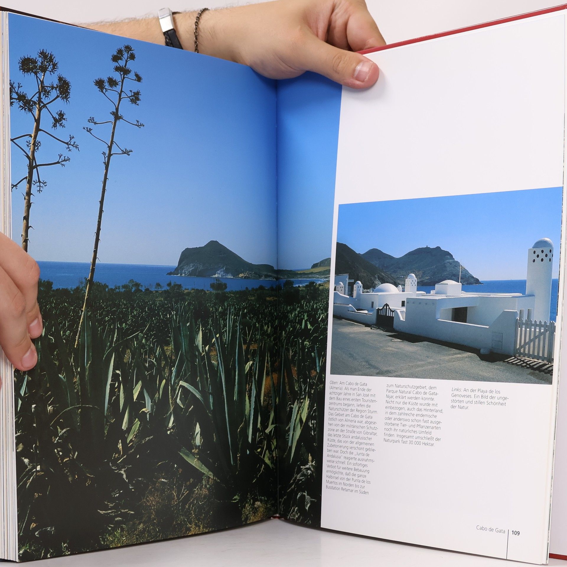 Rolf Legler Andalusien. Kunst und Kultur