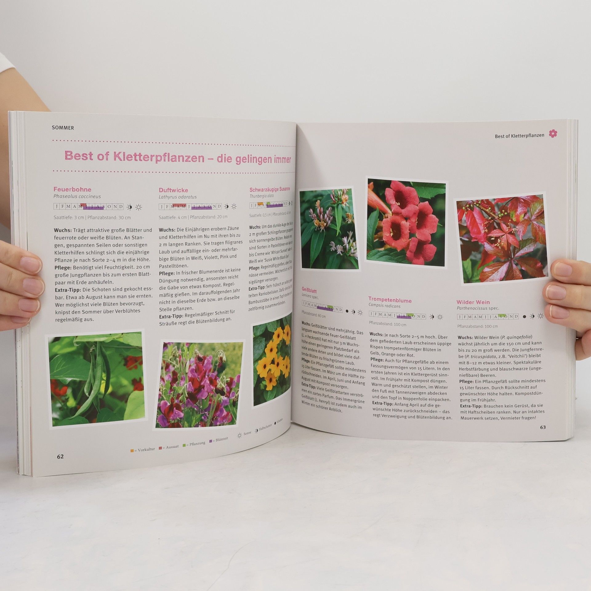 Mascha Schacht Garten-Basics