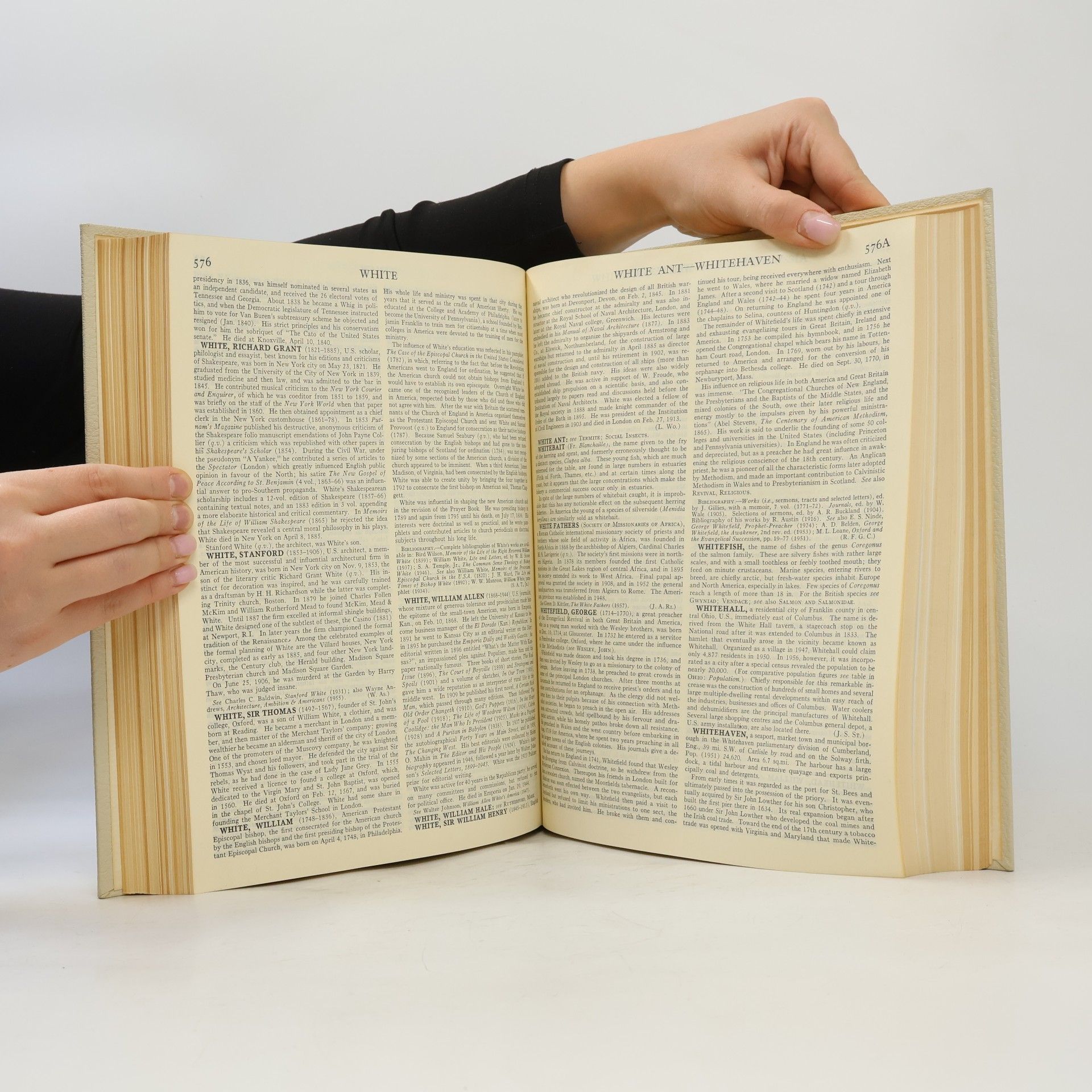 Kolektiv autorů Encyclopædia Britannica 23