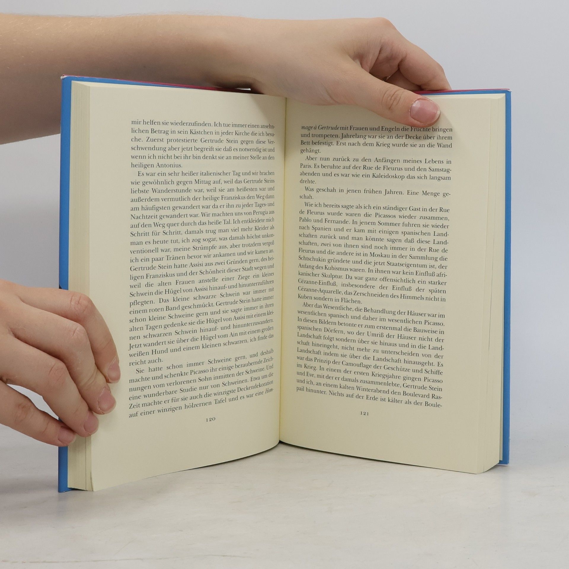 Gertrude Stein Autobiographie von Alice B. Toklas