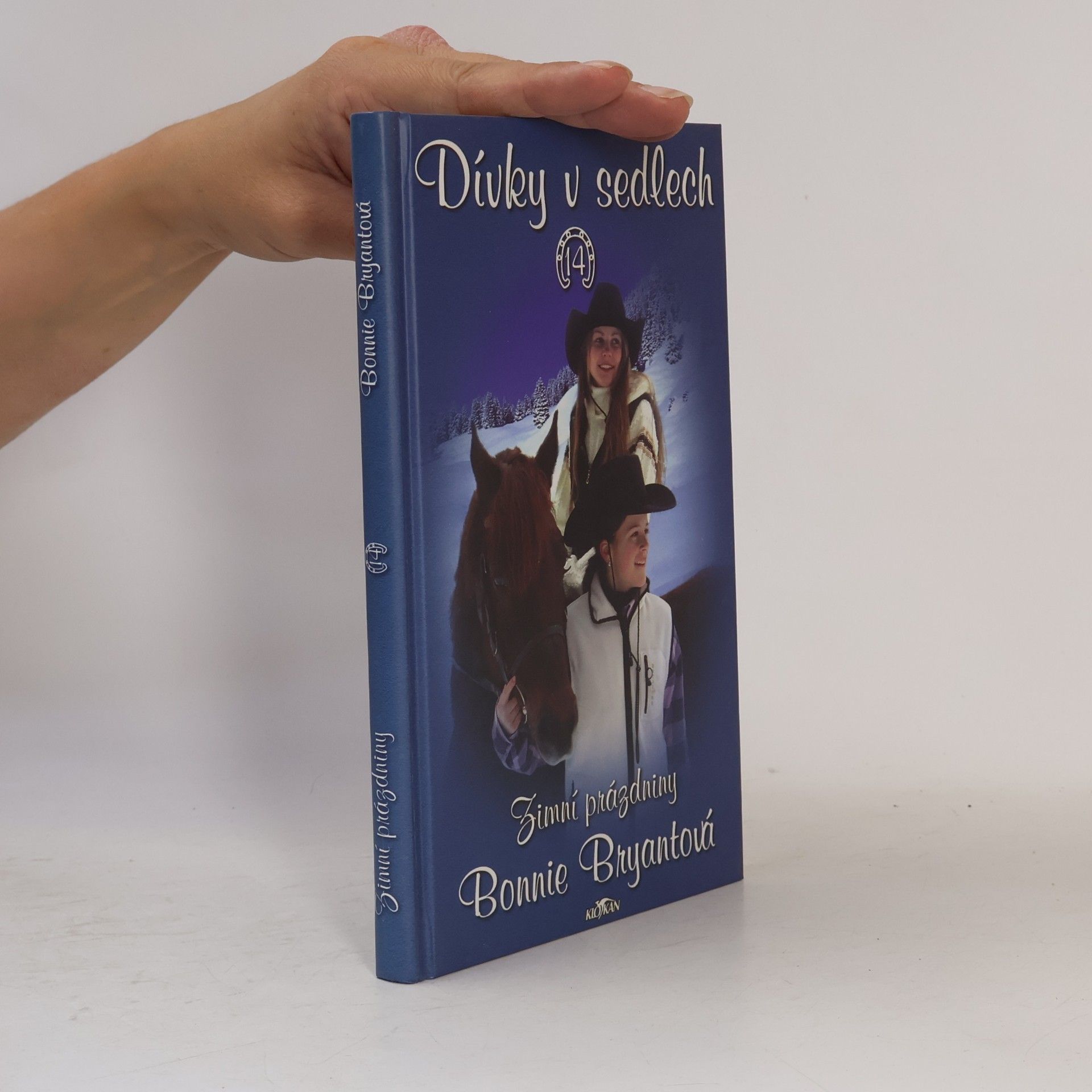 Bonnie Bryant Dívky v sedlech. 14, Zimní prázdniny