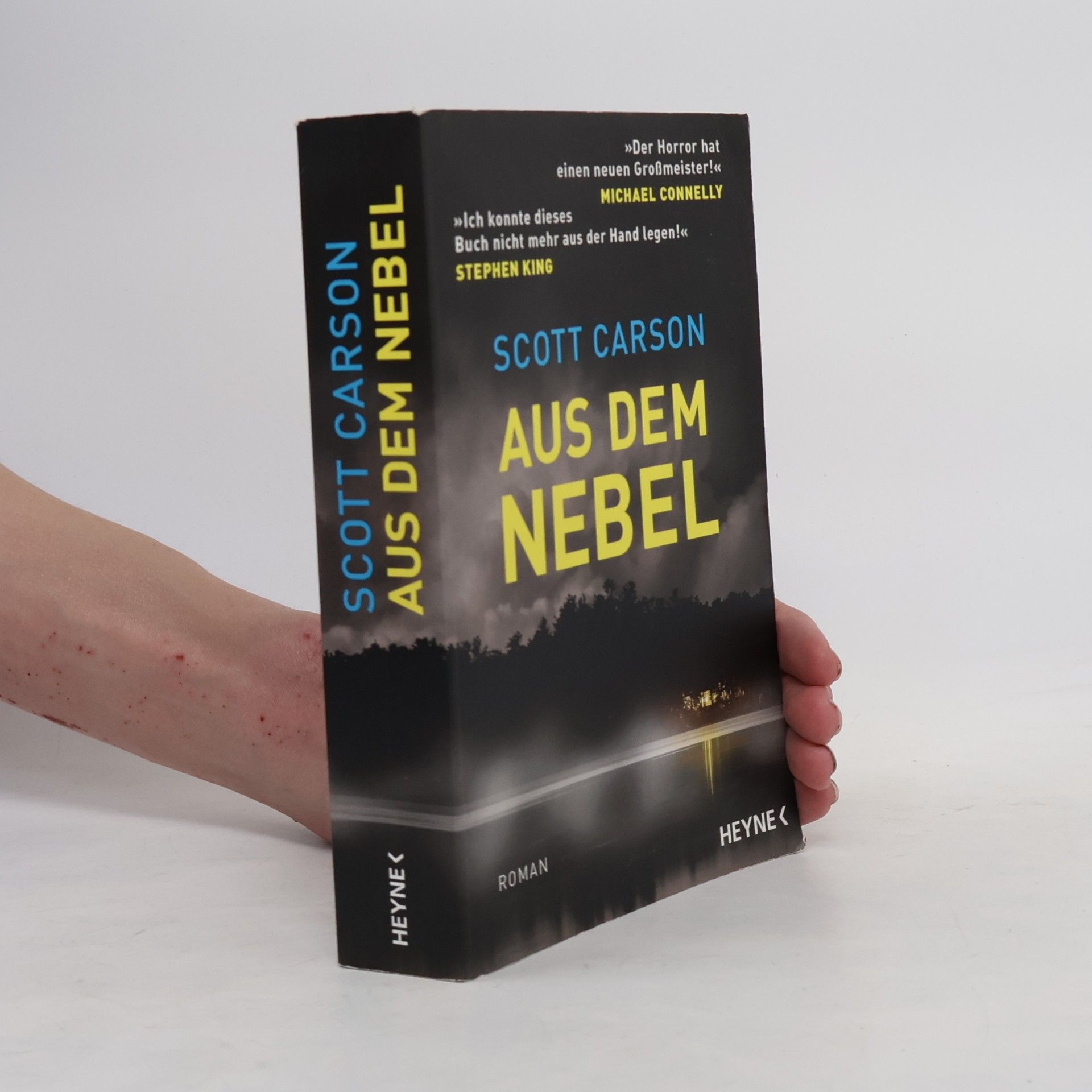 Scott Ford Aus dem Nebel