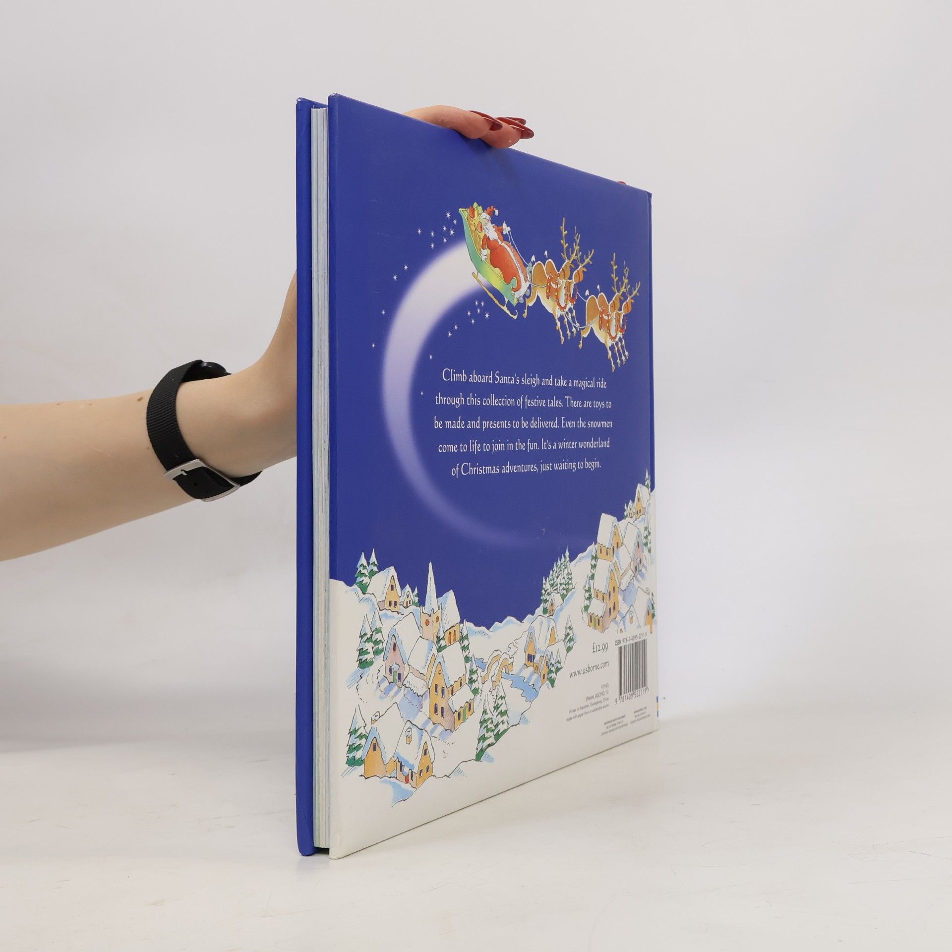 Russell Punter Usborne Christmas Stories for Little Children