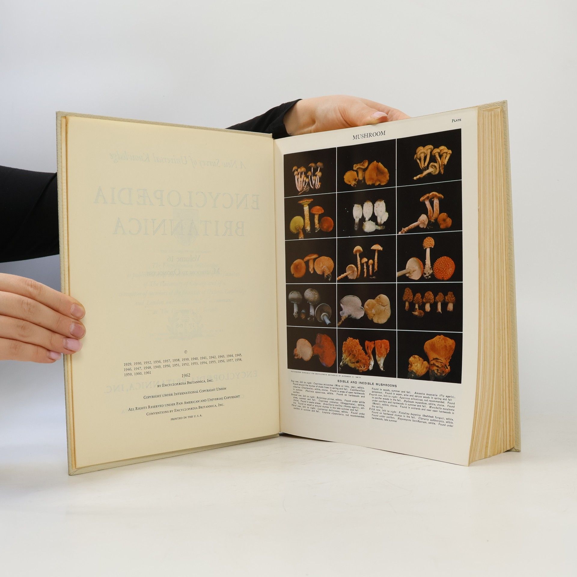 Kolektiv autorů Encyclopædia Britannica 16