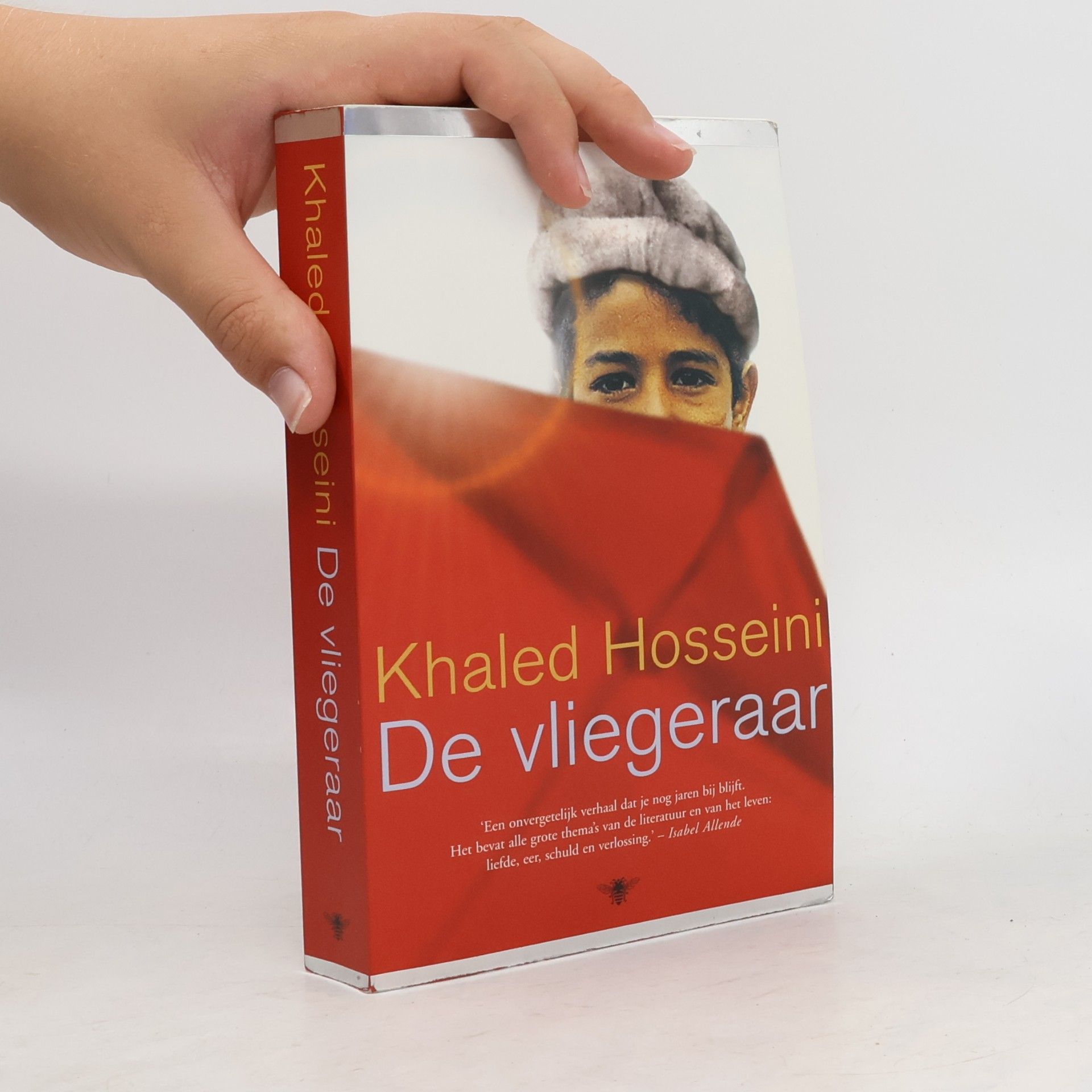 De vliegeraar