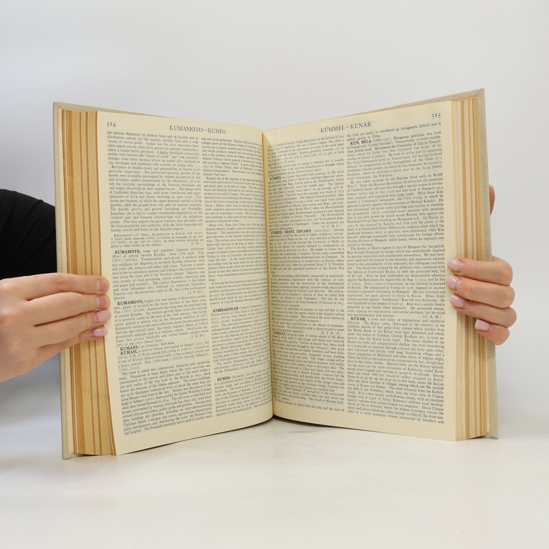 Kolektiv autorů Encyclopædia Britannica 13