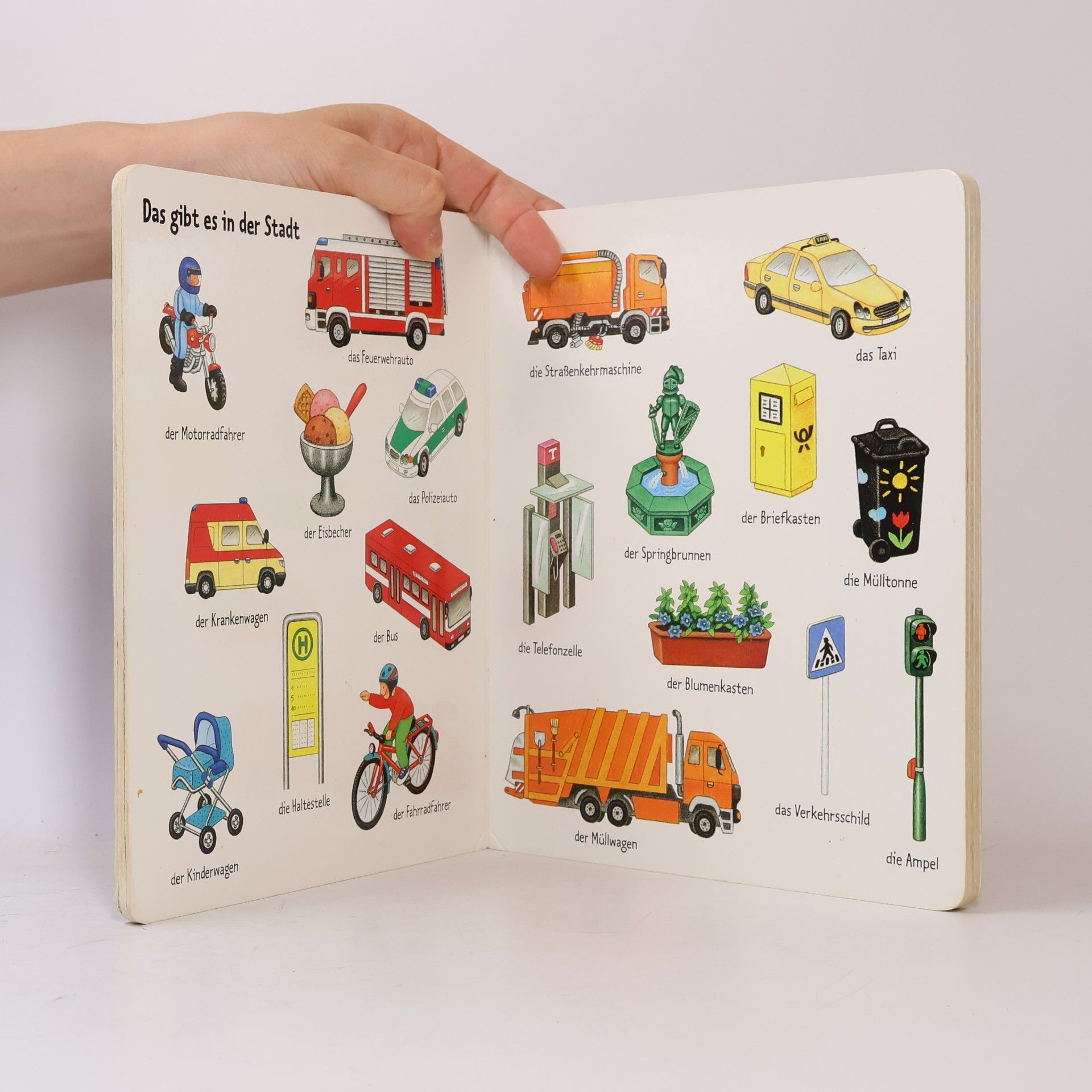 Sybille Brauer Bücher für die Kleinsten: Bilder suchen - Wörter finden
