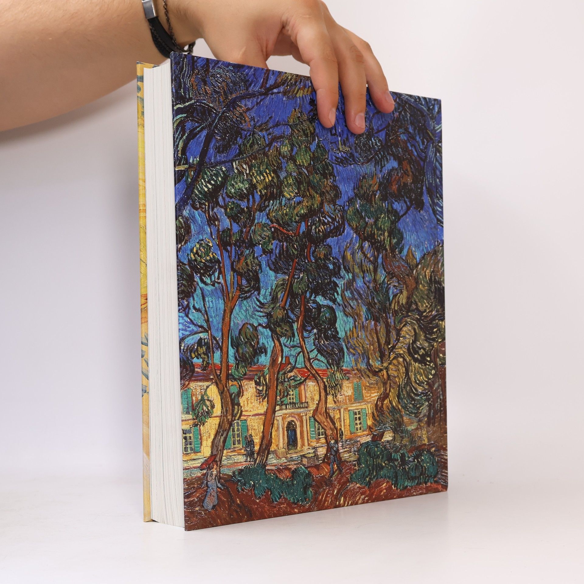 Heinz Wildauer Van Gogh: Heartfelt lines