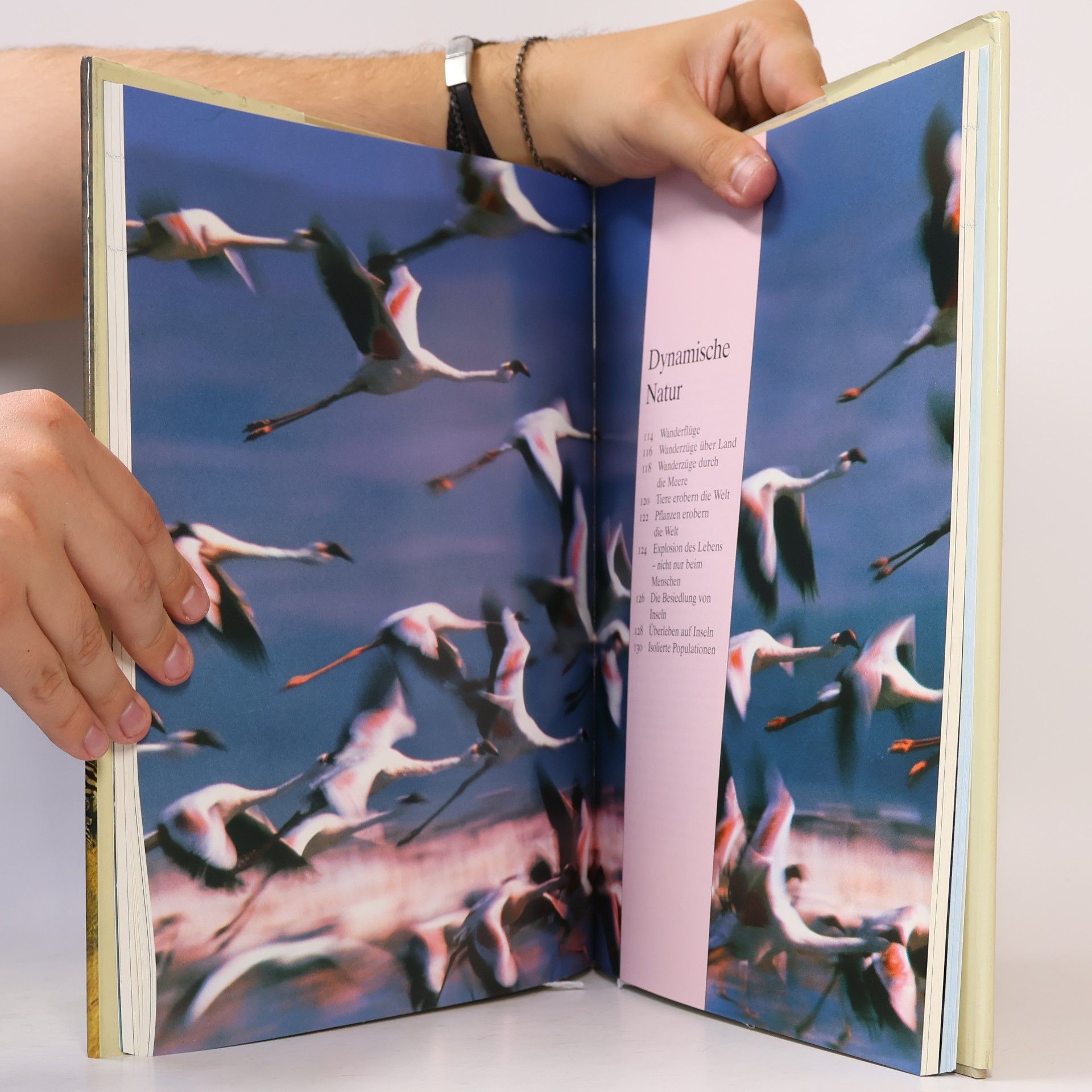 David Attenborough Unsere einzigartige Erde