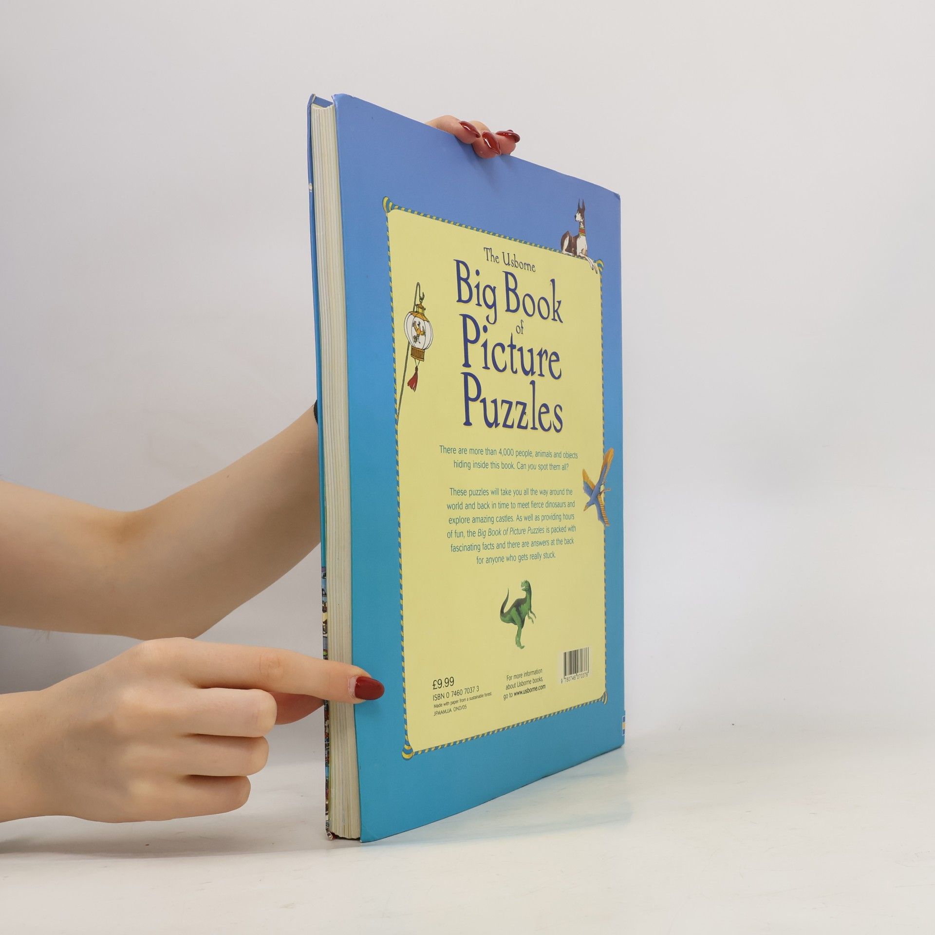 kolektiv The Usborne Big Book of Picture Puzzles