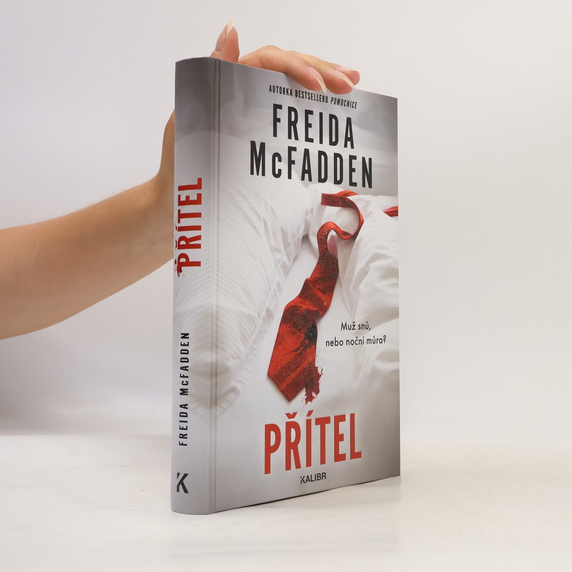 Freida McFaddenová Přítel