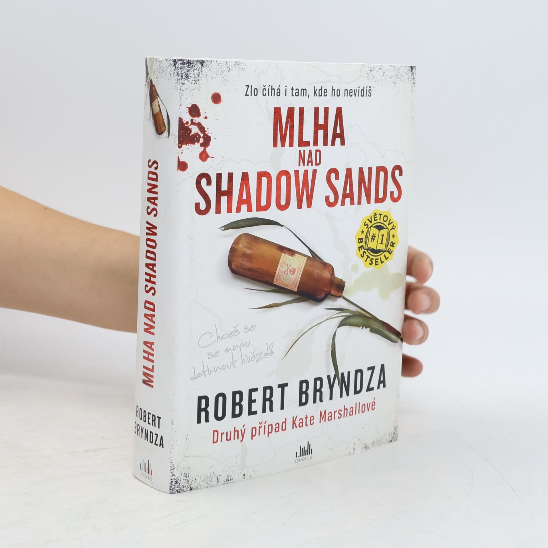 Robert Bryndza Mlha nad Shadow Sands