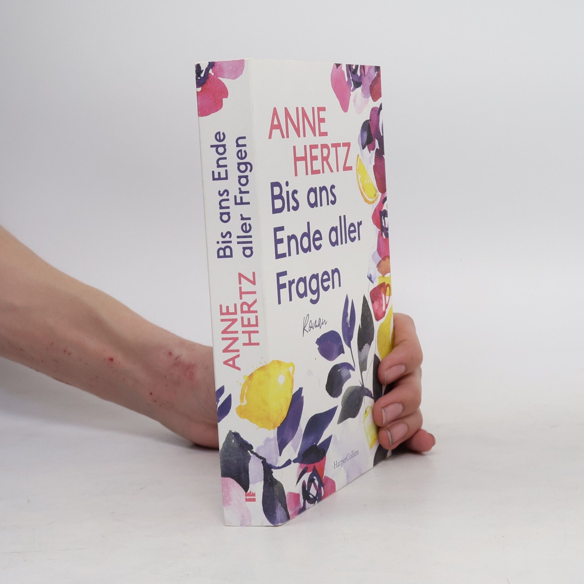 Anne Hertz Bis ans Ende aller Fragen