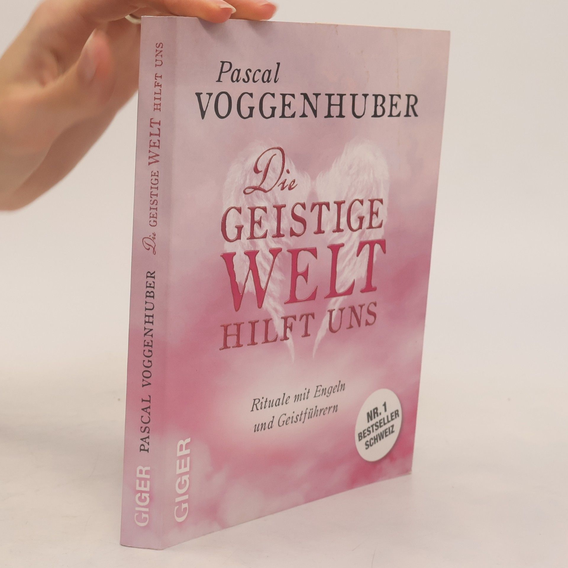 Pascal Voggenhuber Die geistige Welt hilft uns