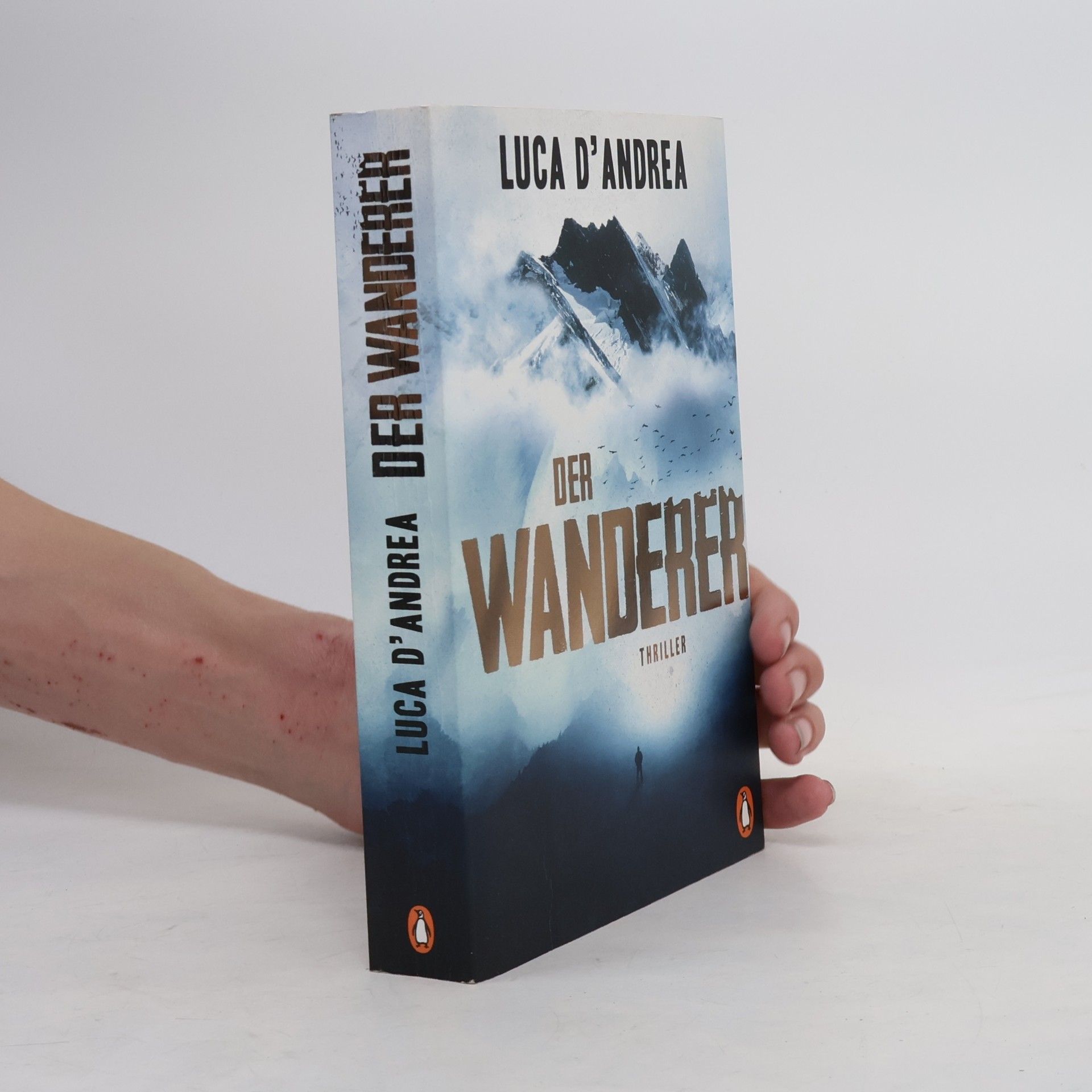Luca D'Andrea Der Wanderer