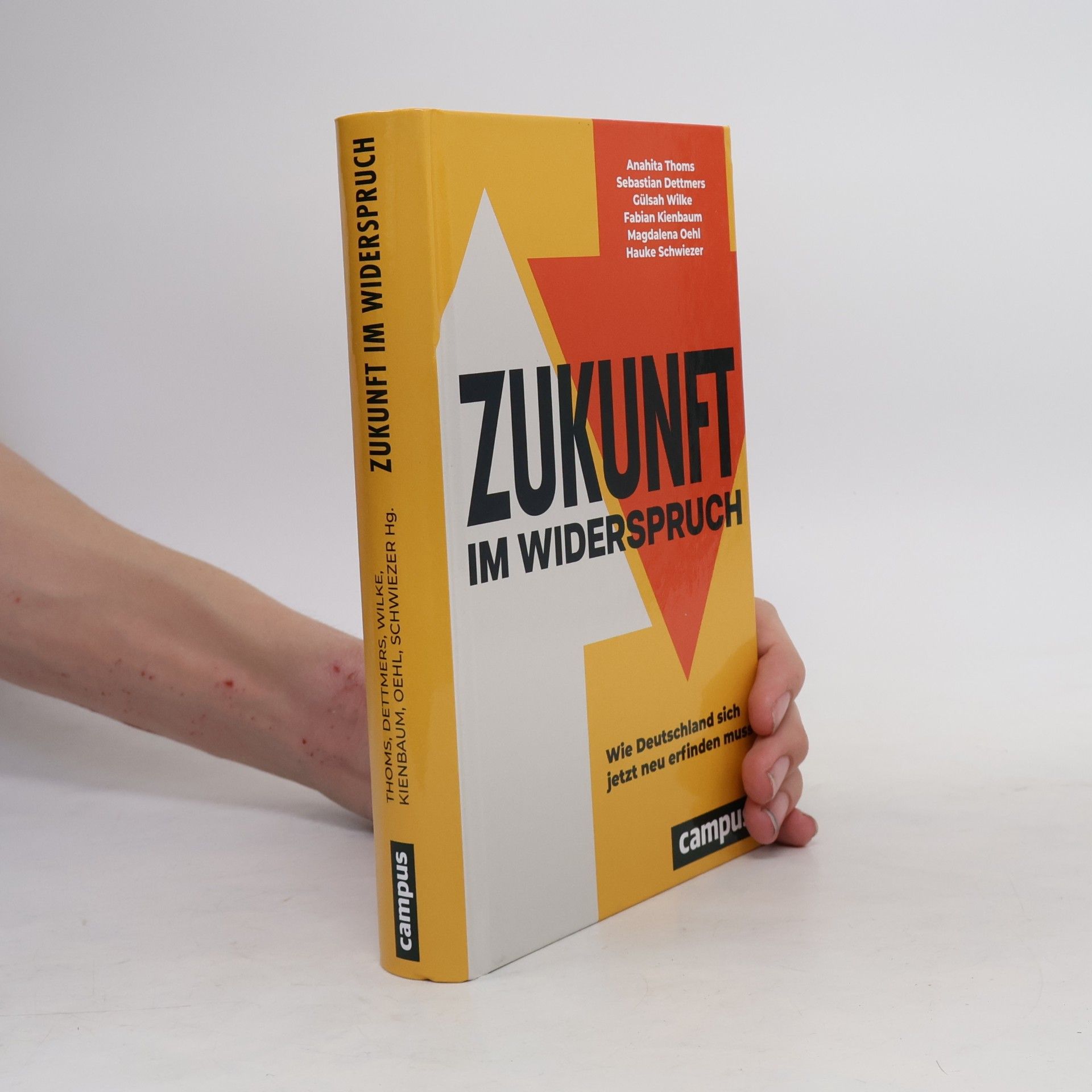 Hauke Schwiezer Zukunft im Widerspruch