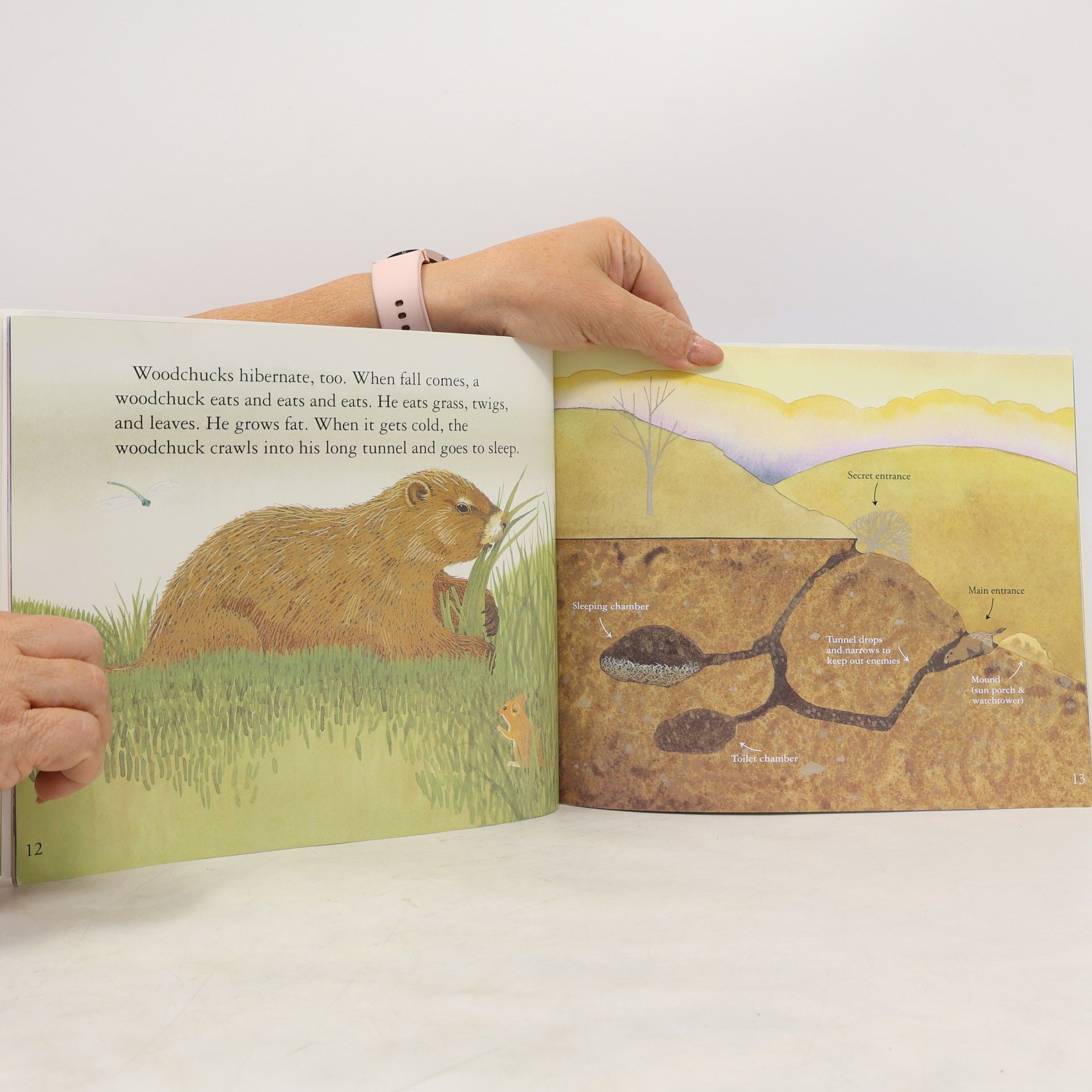 Henrietta Bancroft Let's-Read-and-Find-Out Science - 1: Animals in Winter