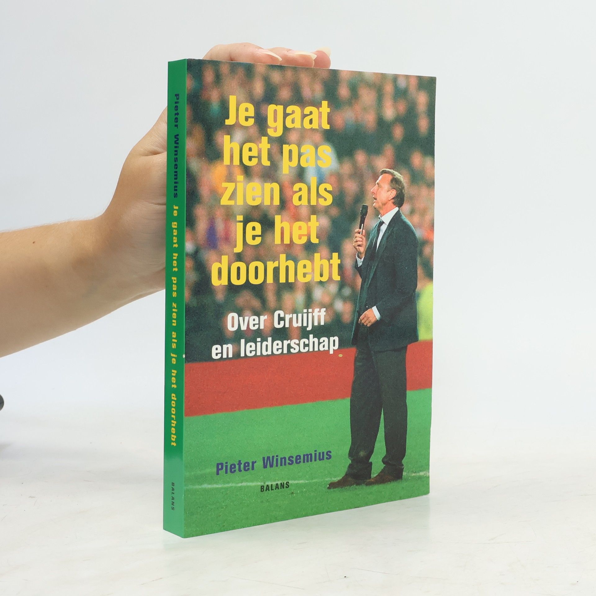 Pieter Winsemius Je gaat het pas zien als je het doorhebt