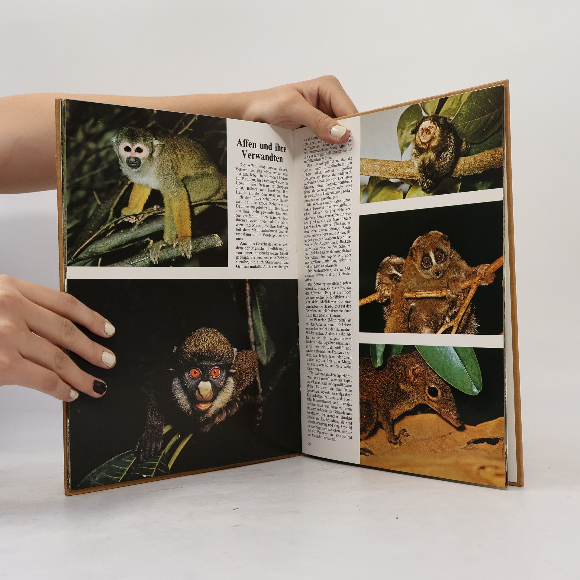 Jane Burton Schöne Welt in Farbe. Heimtiere. Kleine Säugetiere