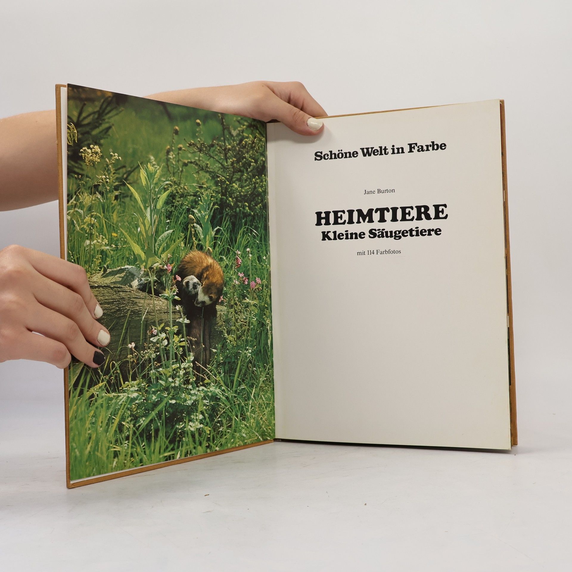 Jane Burton Schöne Welt in Farbe. Heimtiere. Kleine Säugetiere