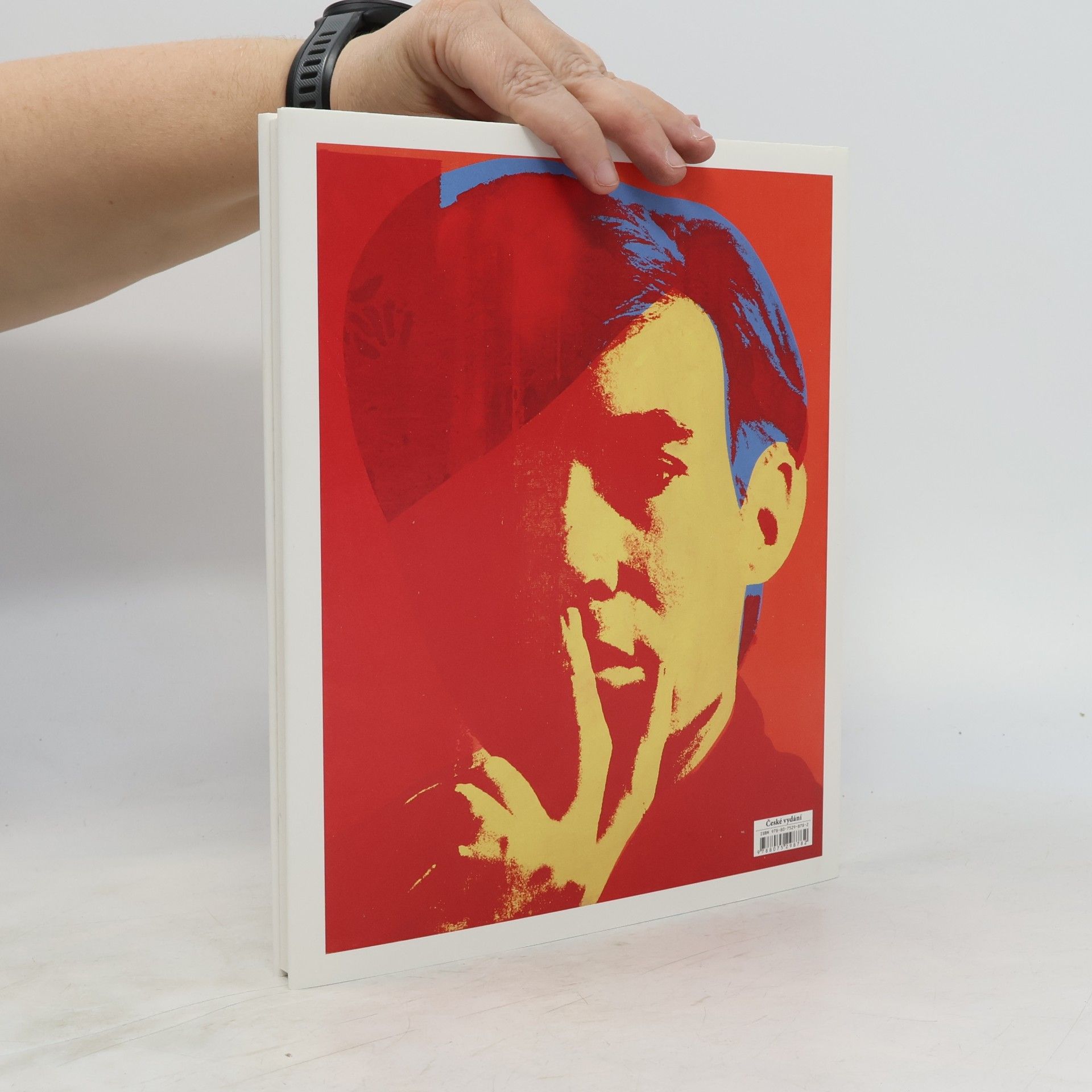 Klaus Honnef Warhol