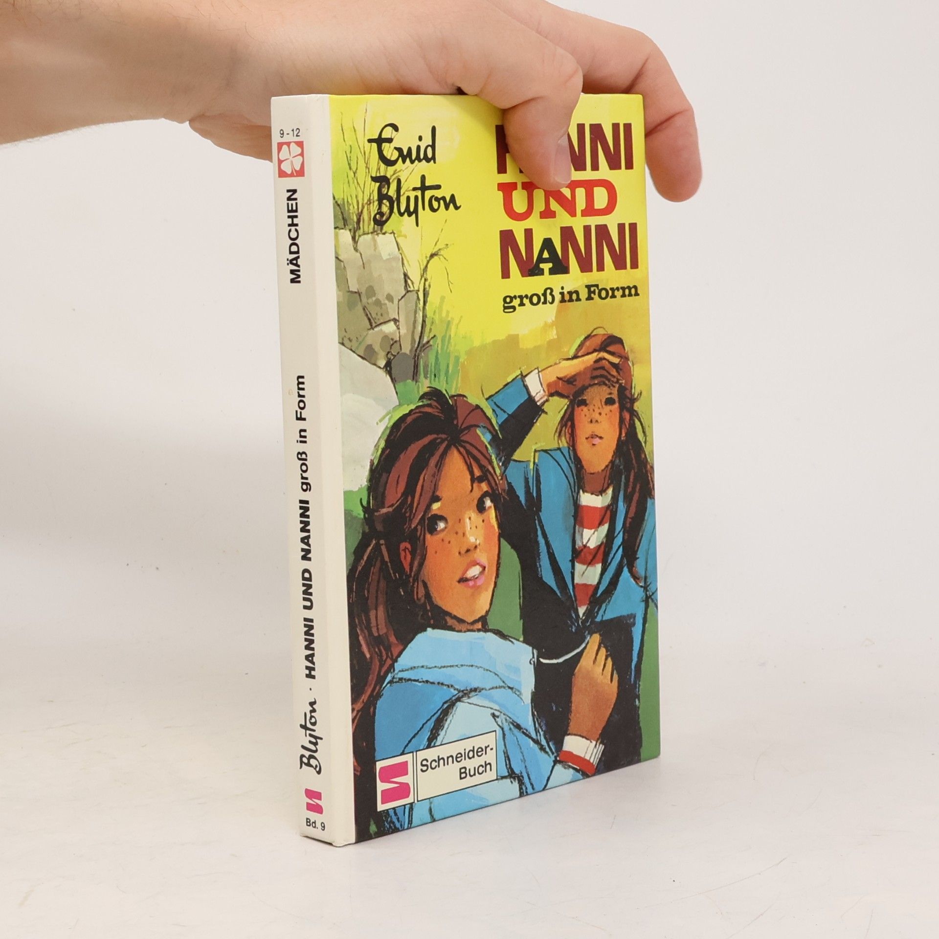 Enid Blyton Hanni und Nanni groß in Form