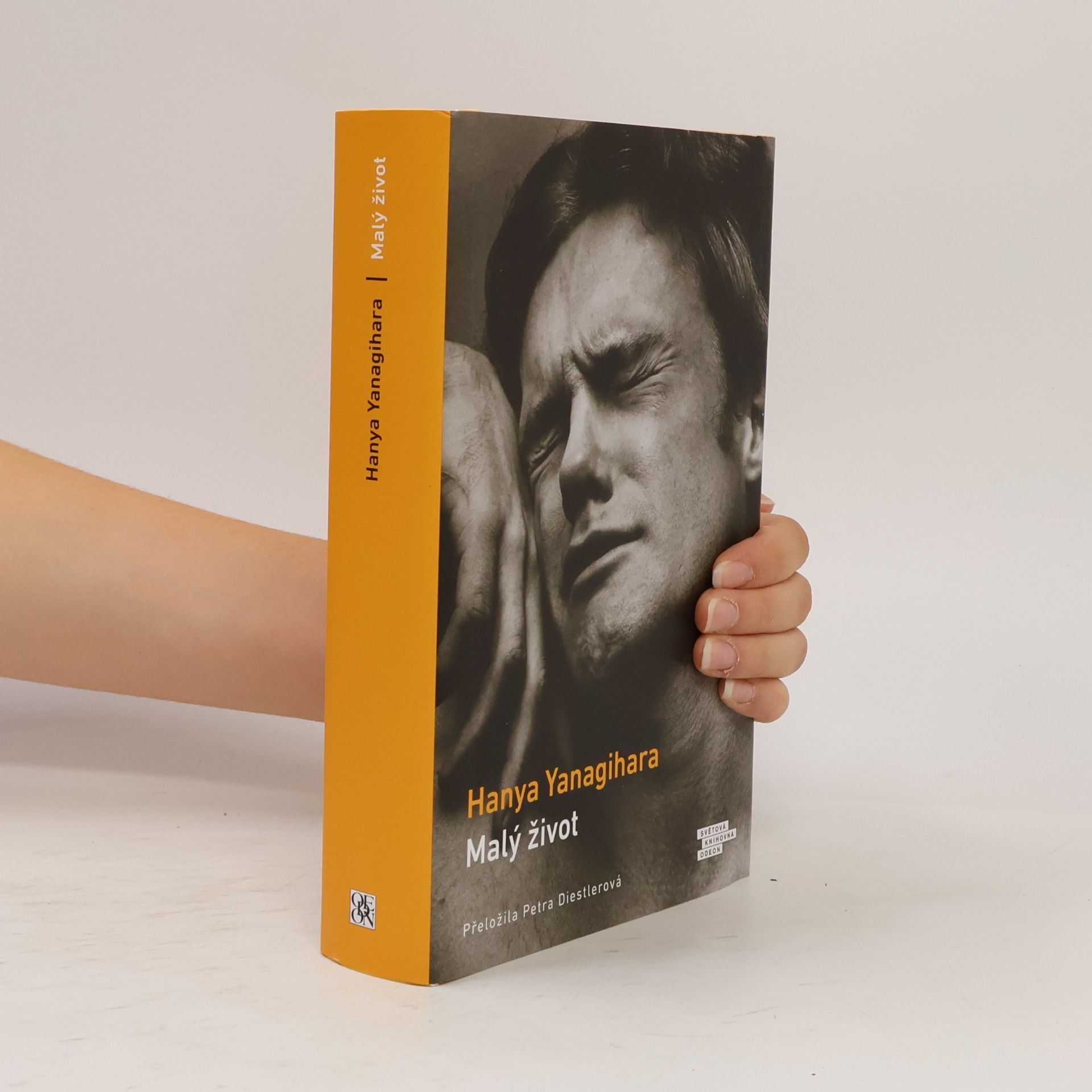 Hanya Yanagihara Malý život